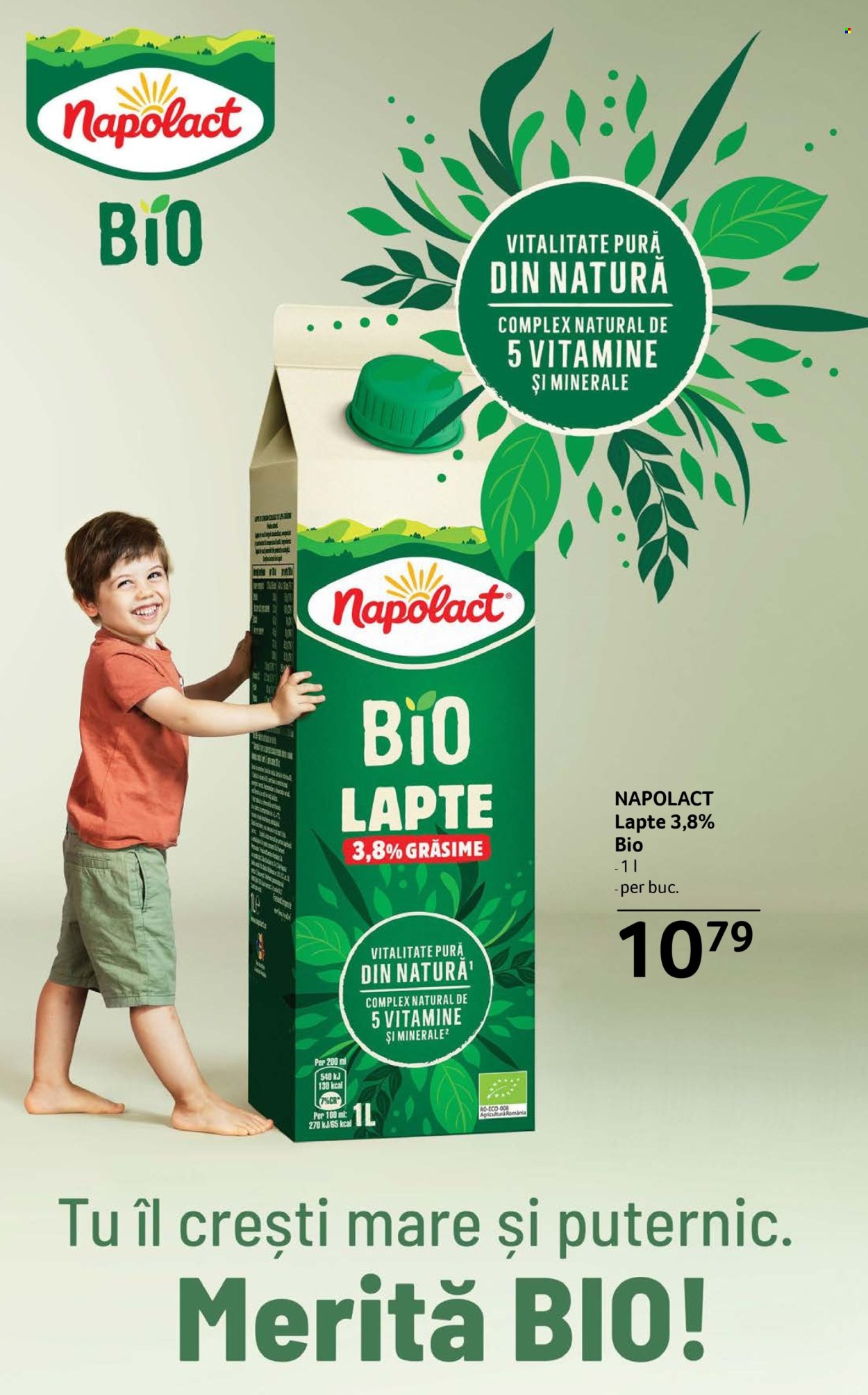 Catalog Selgros - 28.11.2025 - 11.12.2025. Pagina 16