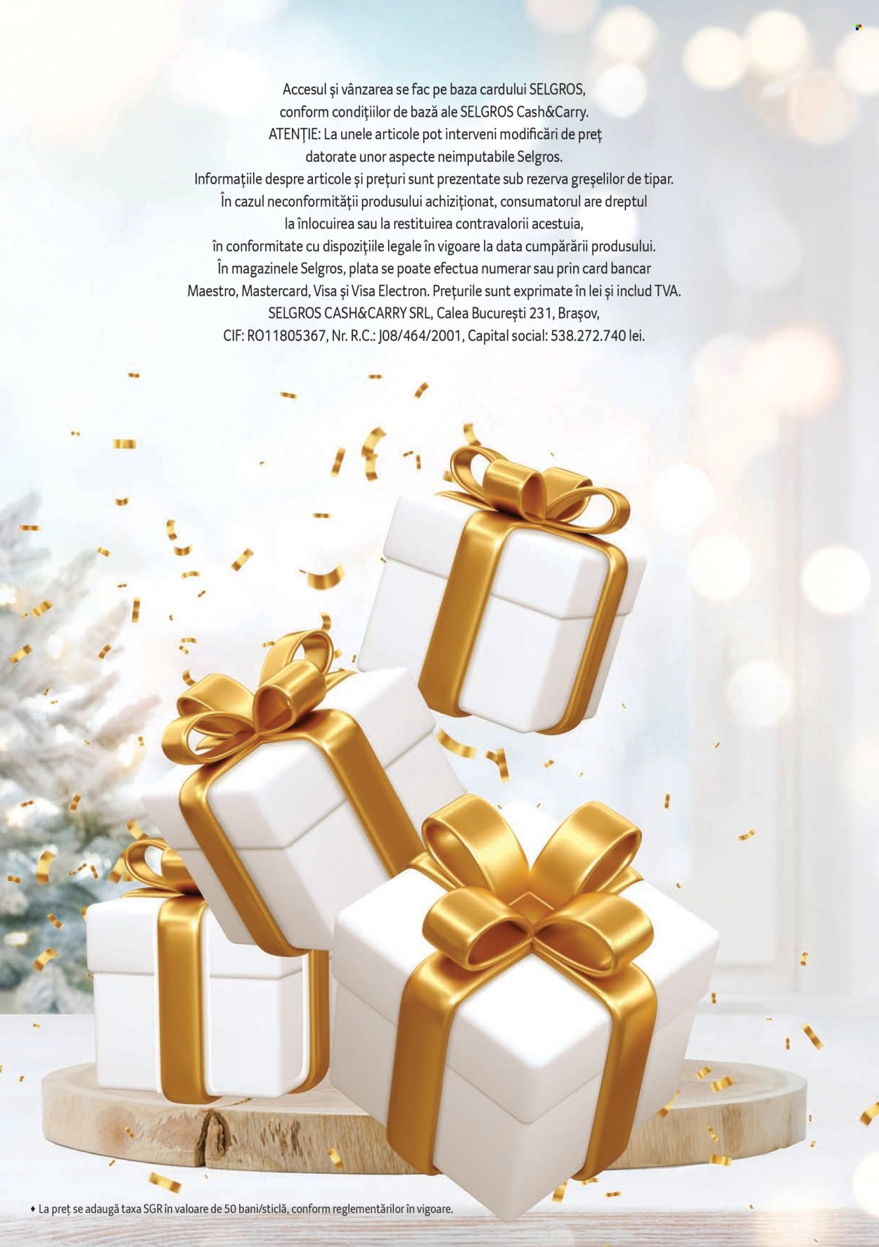 Catalog Selgros. Pagina 116