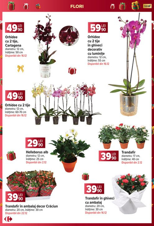 Catalog Carrefour - 19.11.2025 - 07.01.2026. Pagina 53