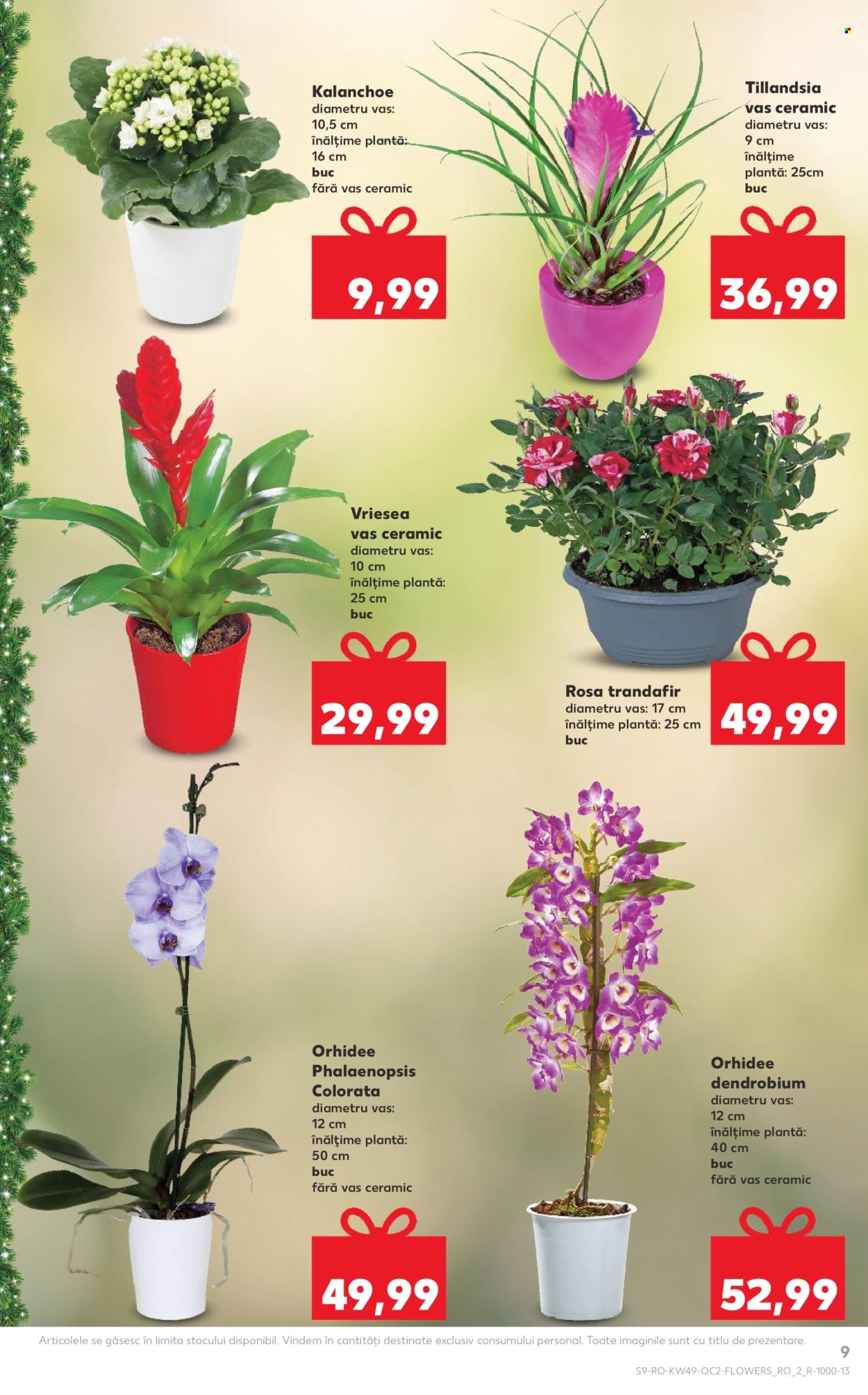 Catalog Kaufland - 03.12.2025 - 09.12.2025. Pagina 9