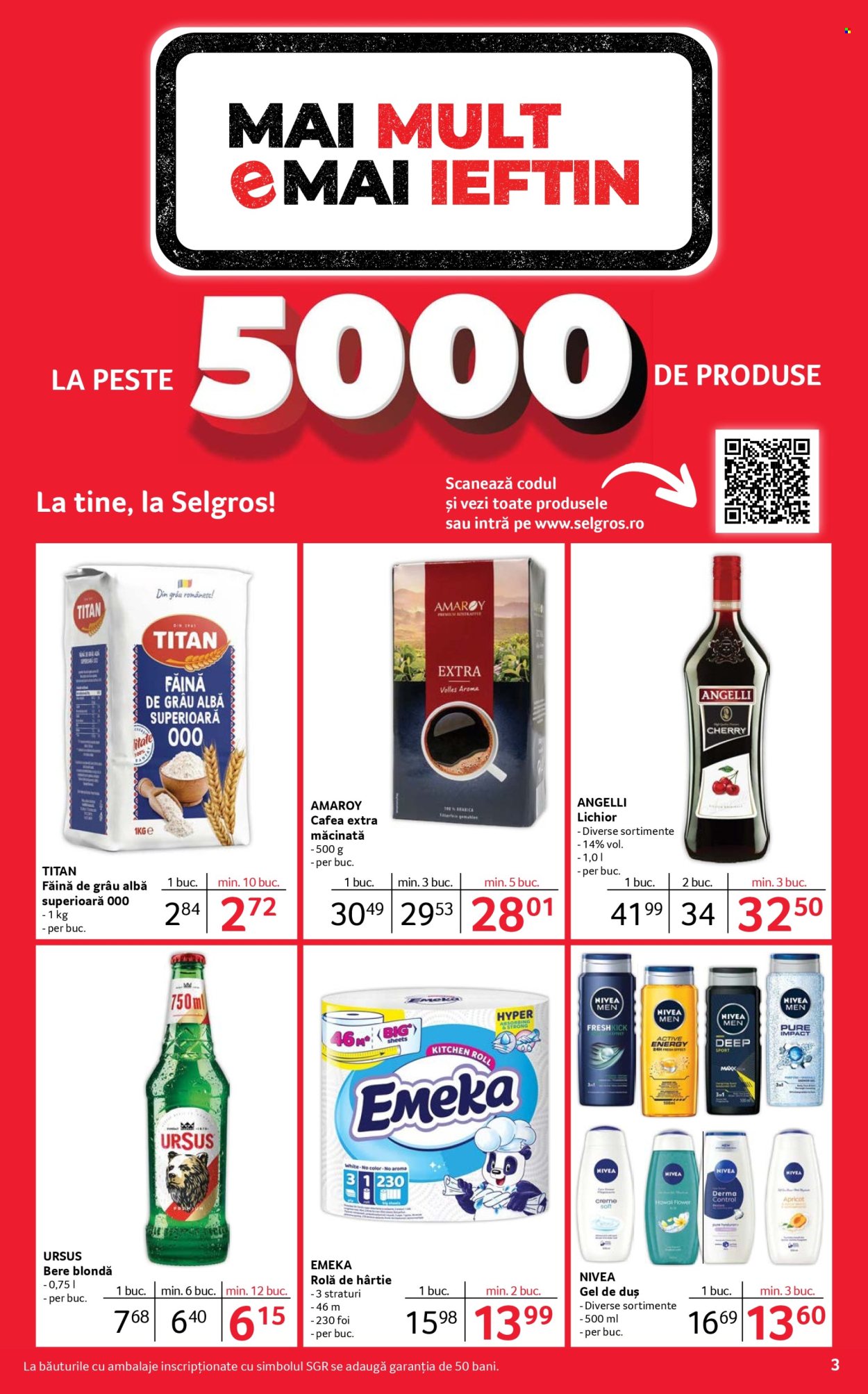 Catalog Selgros - 12.12.2025 - 31.12.2025. Pagina 3