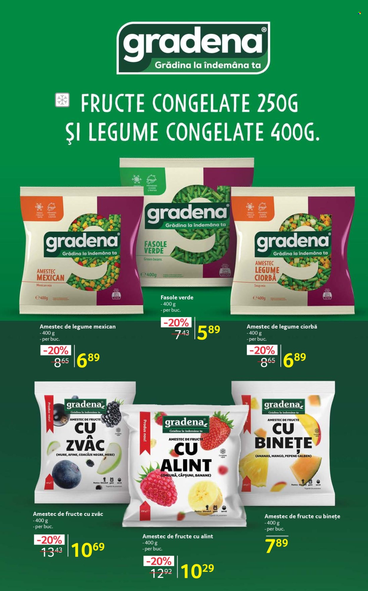 Catalog Selgros - 12.12.2025 - 31.12.2025. Pagina 13