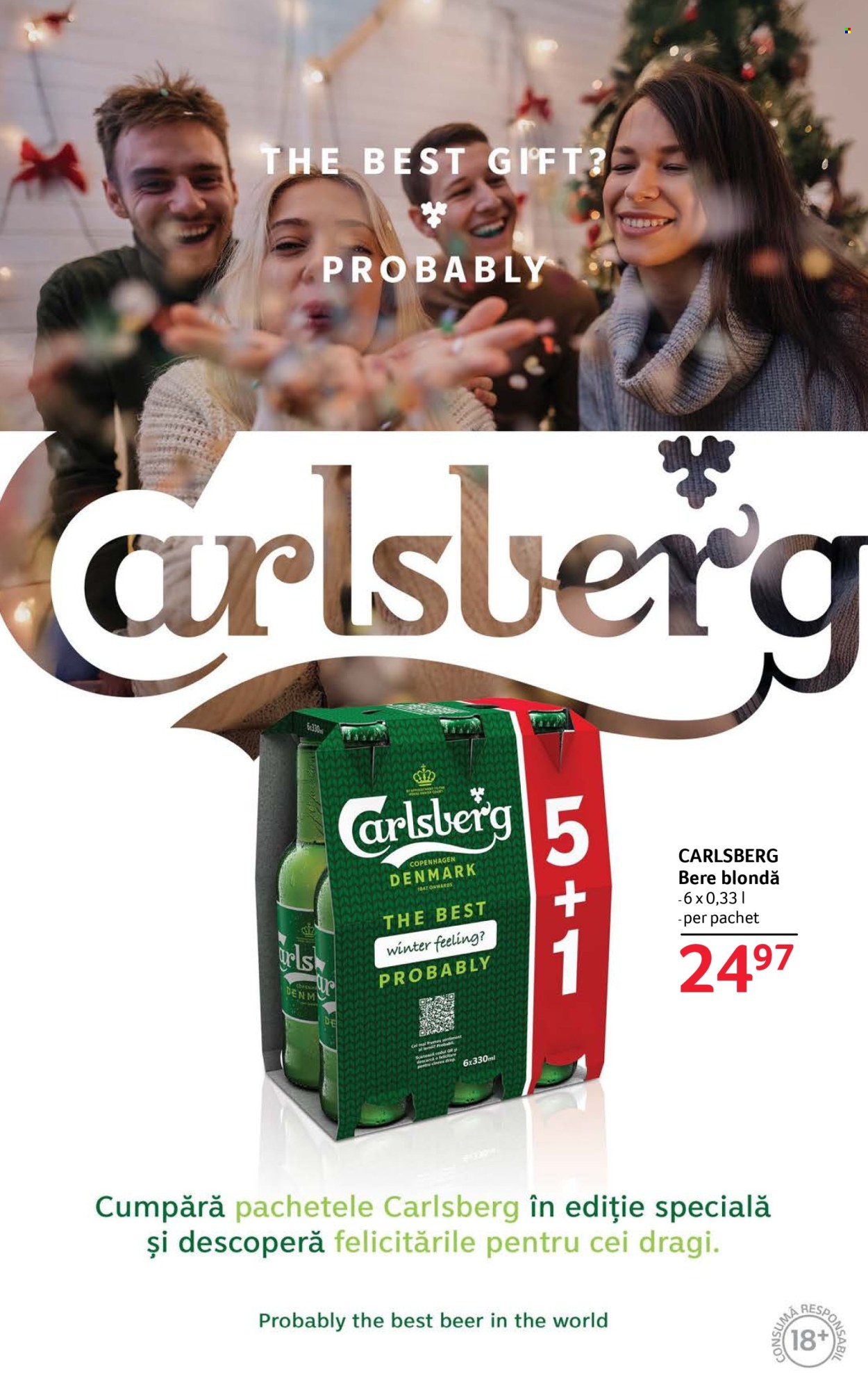 Catalog Selgros - 12.12.2025 - 31.12.2025. Pagina 41
