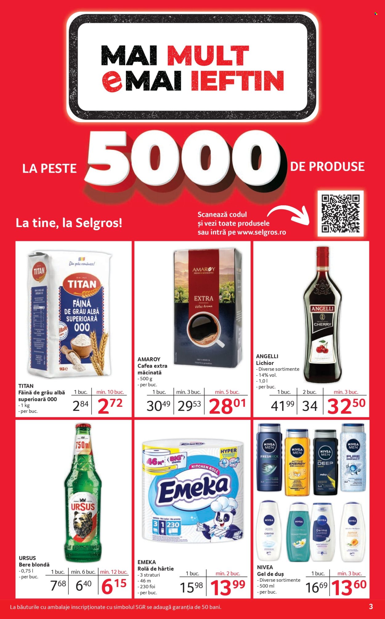 Catalog Selgros - 12.12.2025 - 31.12.2025. Pagina 3