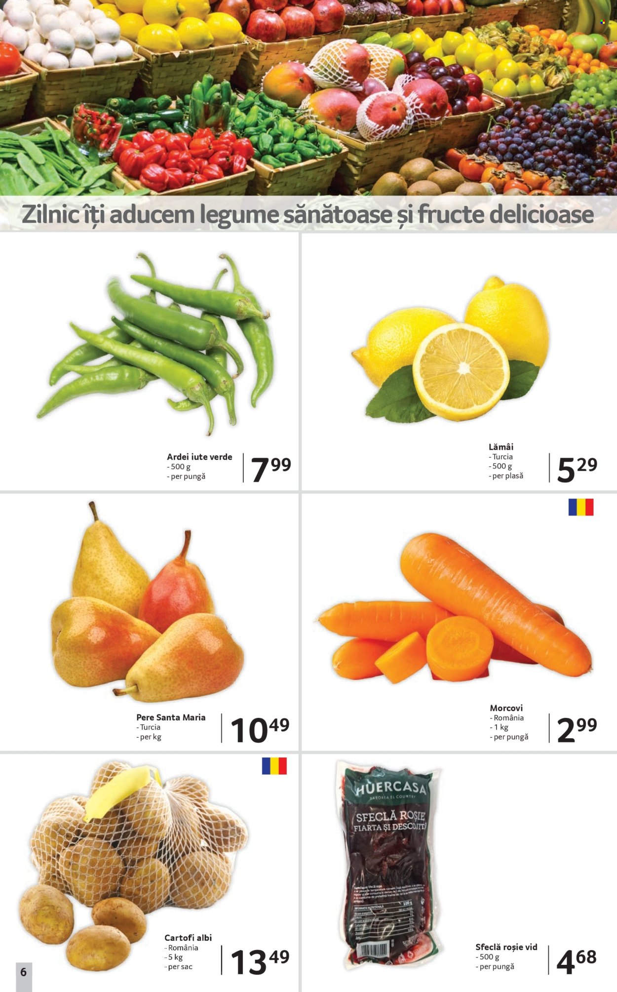 Catalog Selgros - 12.12.2025 - 31.12.2025. Pagina 6