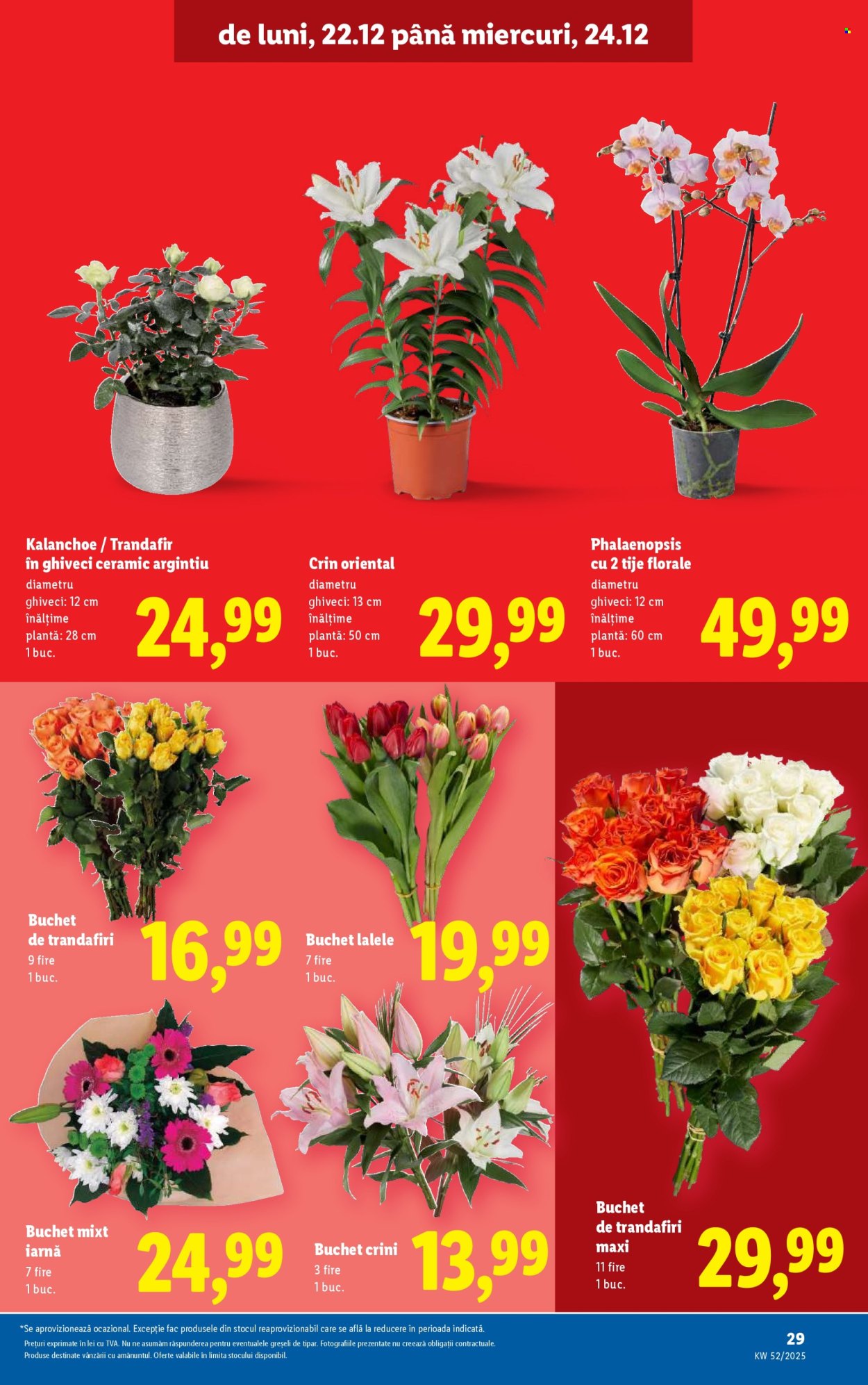 Catalog Lidl - 22.12.2025 - 24.12.2025. Pagina 29
