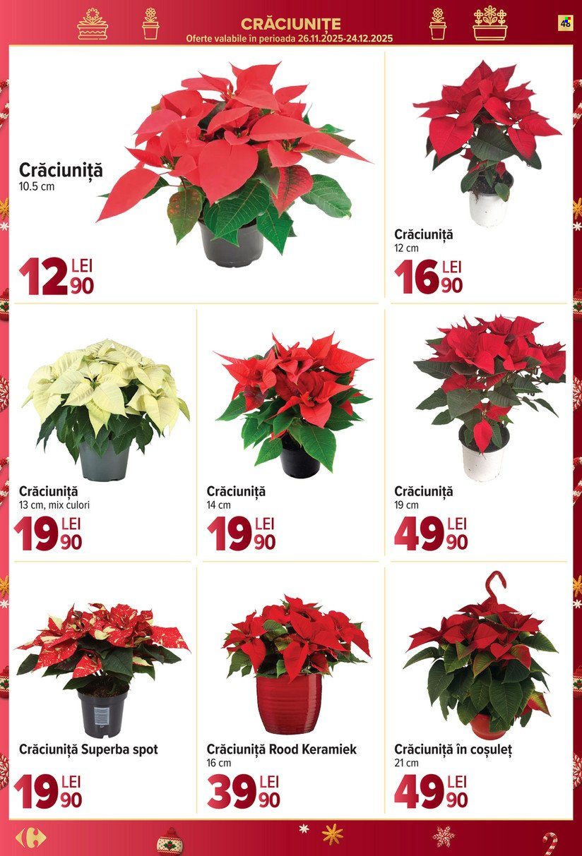 Catalog Carrefour - 17.12.2025 - 26.12.2025. Pagina 48