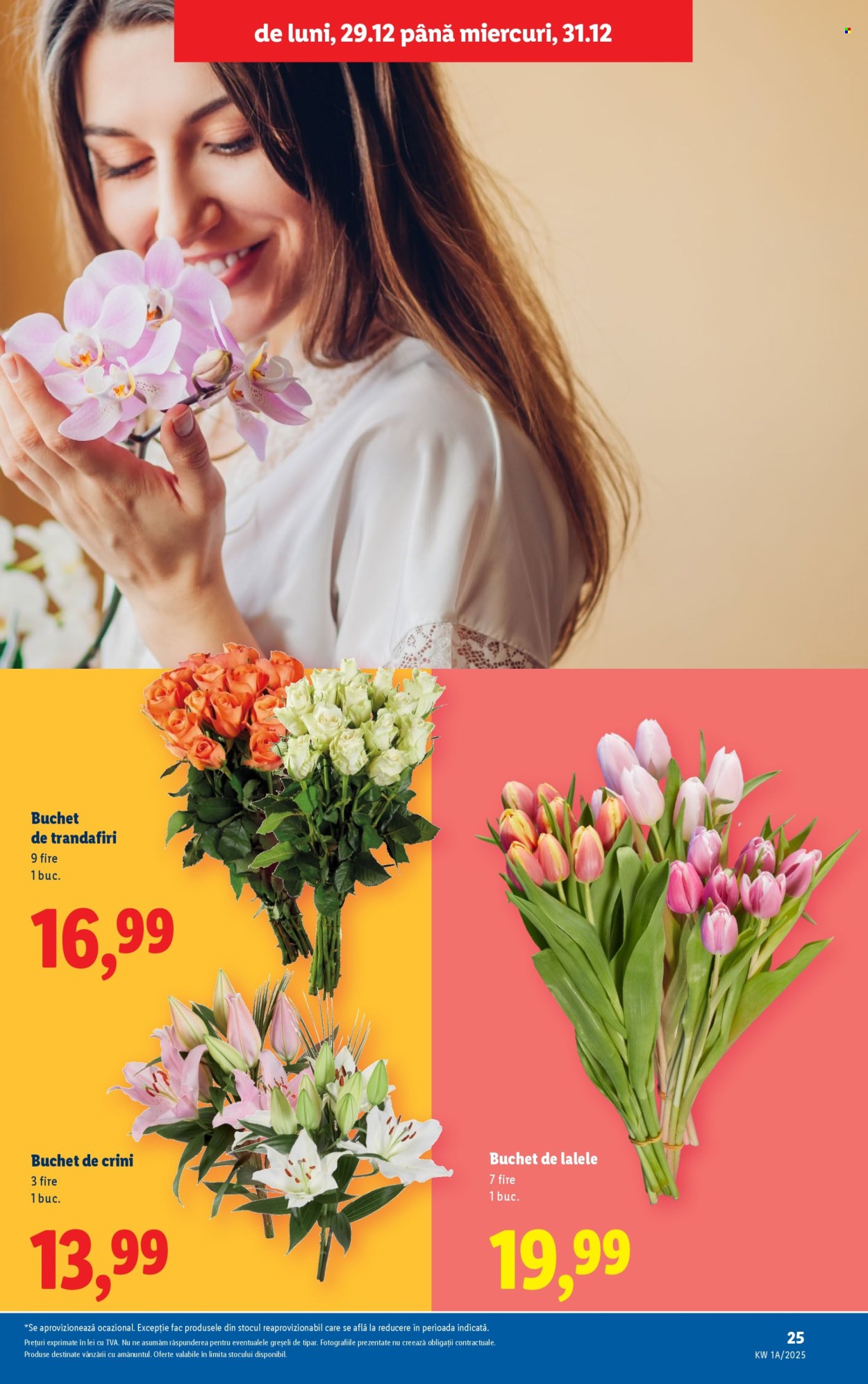 Catalog Lidl - 27.12.2025 - 31.12.2025. Pagina 25