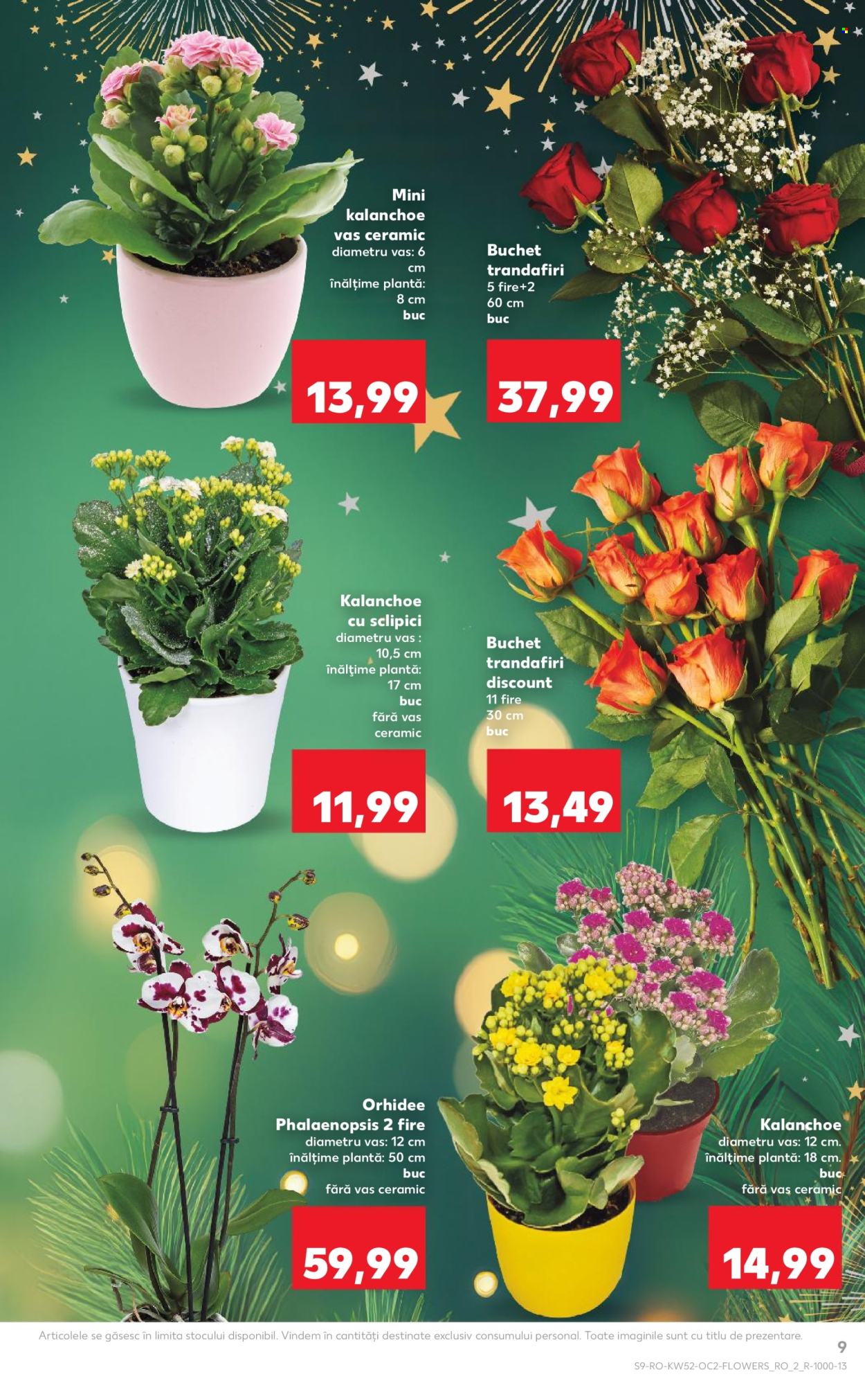 Catalog Kaufland - 24.12.2025 - 30.12.2025. Pagina 9