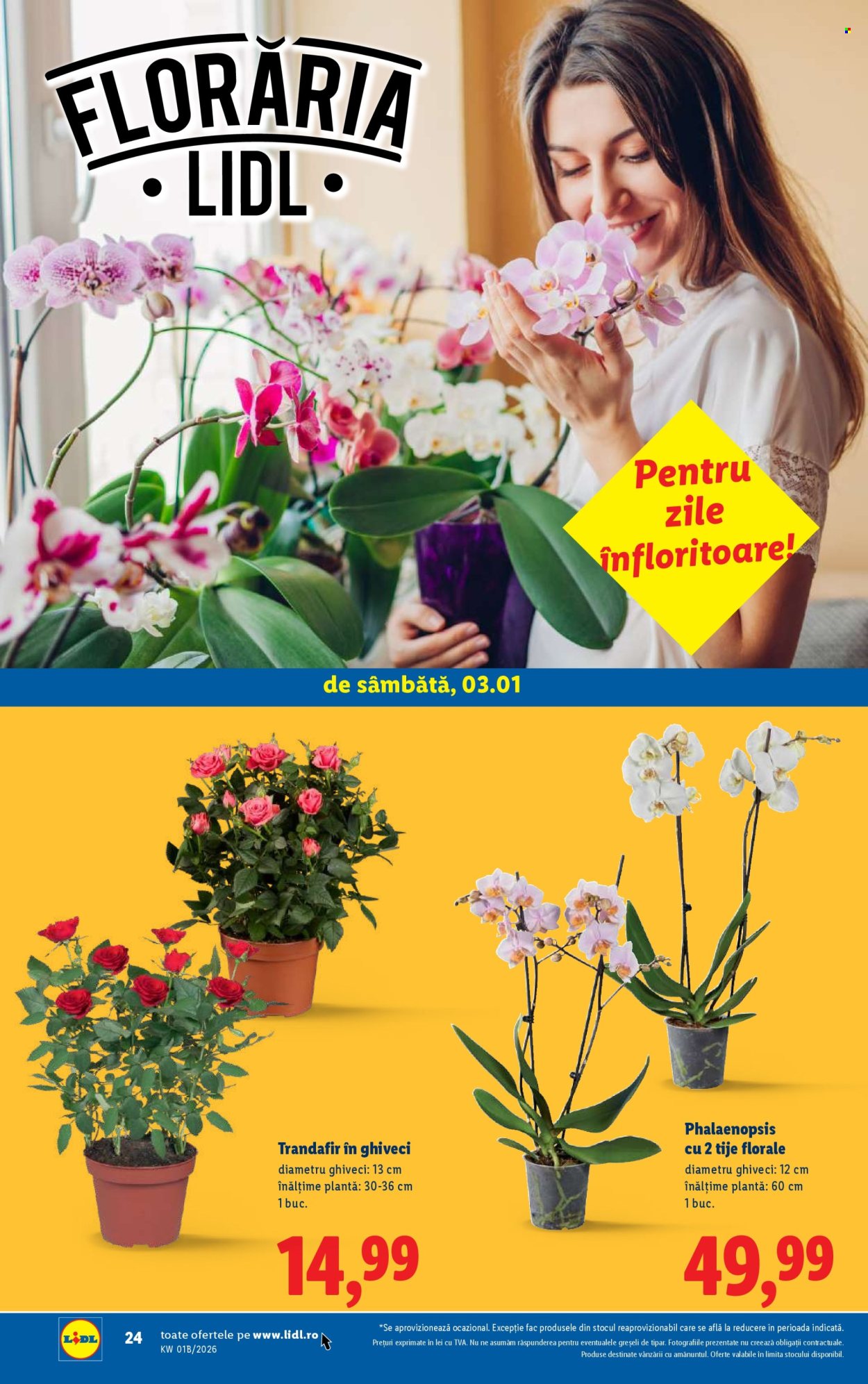 Catalog Lidl - 02.01.2026 - 04.01.2026. Pagina 24