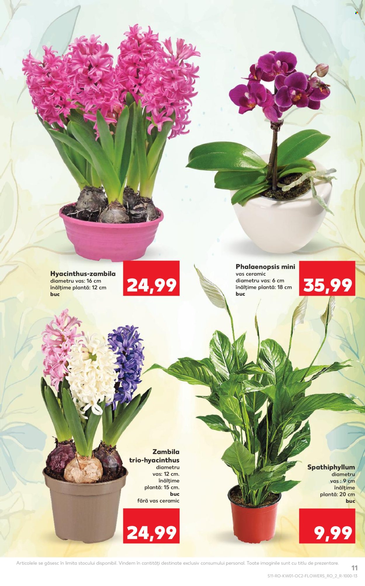 Catalog Kaufland - 31.12.2025 - 06.01.2026. Pagina 11