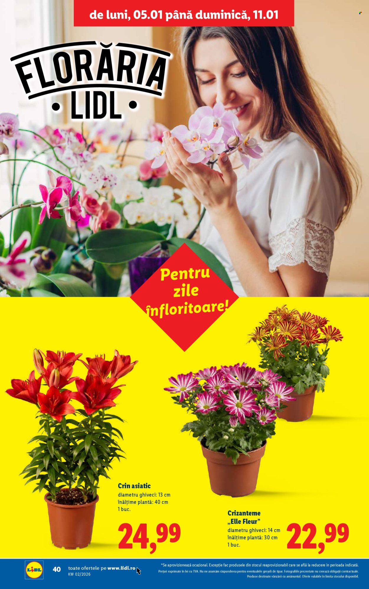Catalog Lidl - 05.01.2026 - 11.01.2026. Pagina 40