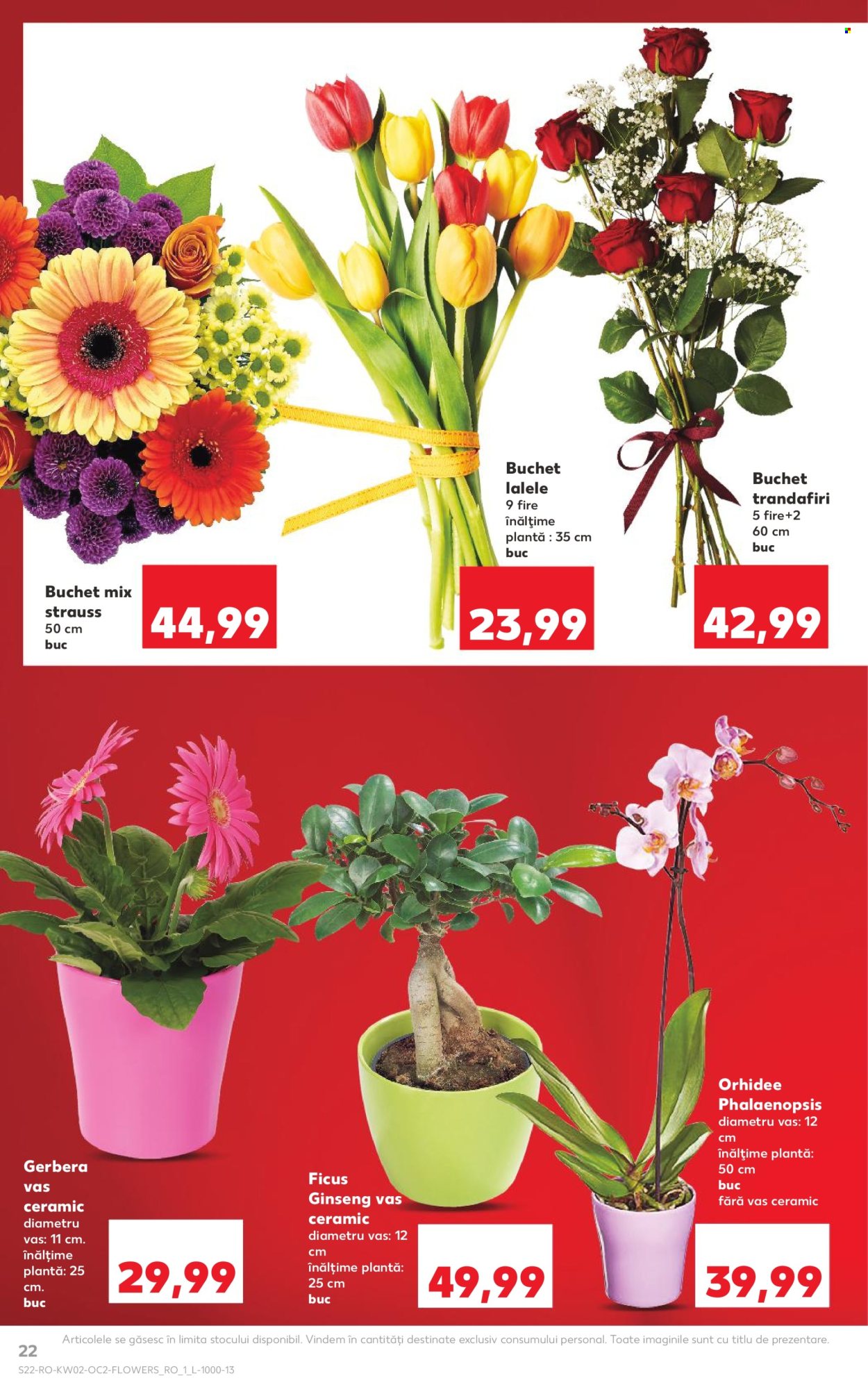 Catalog Kaufland - 07.01.2026 - 13.01.2026. Pagina 22