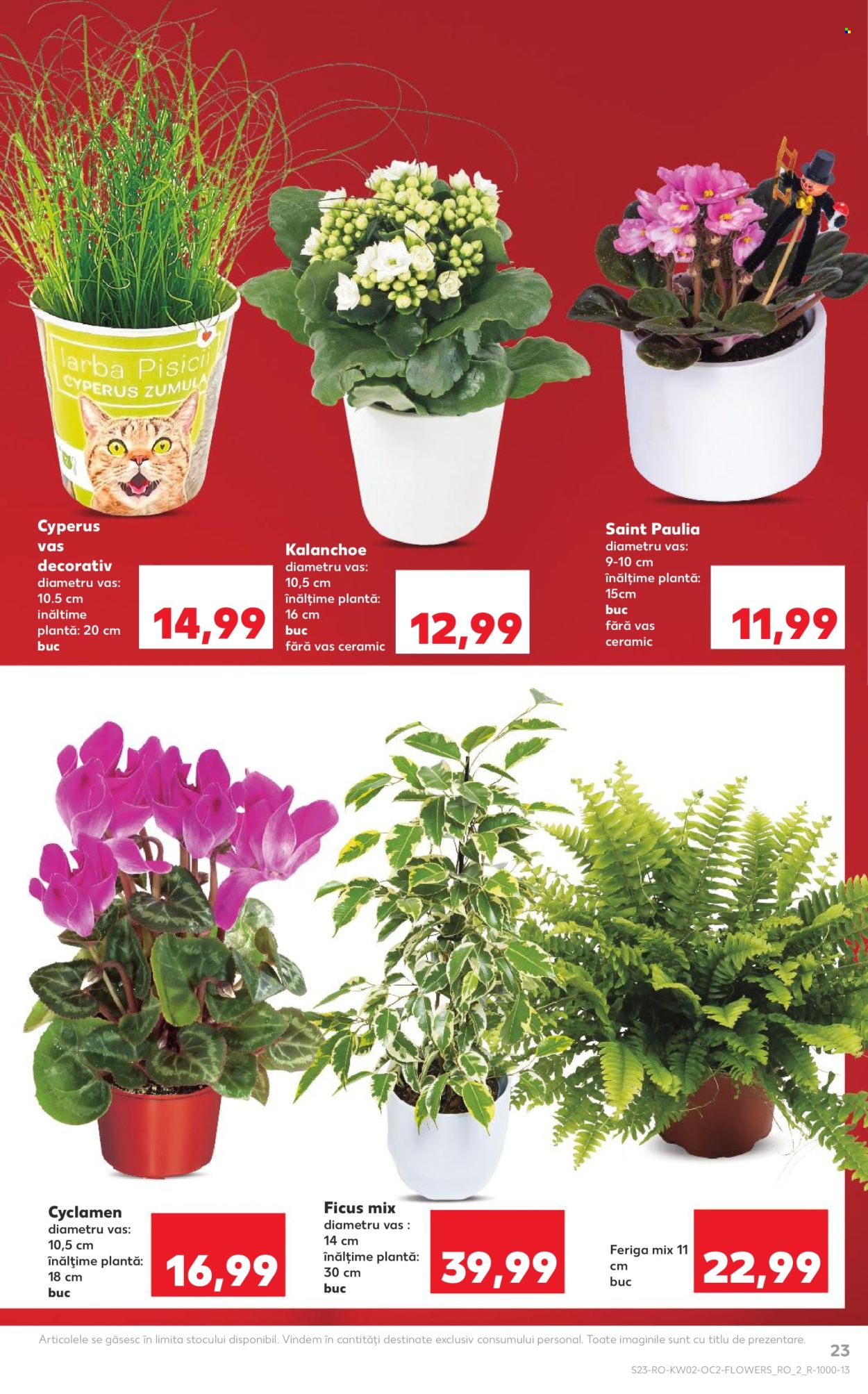 Catalog Kaufland - 07.01.2026 - 13.01.2026. Pagina 23