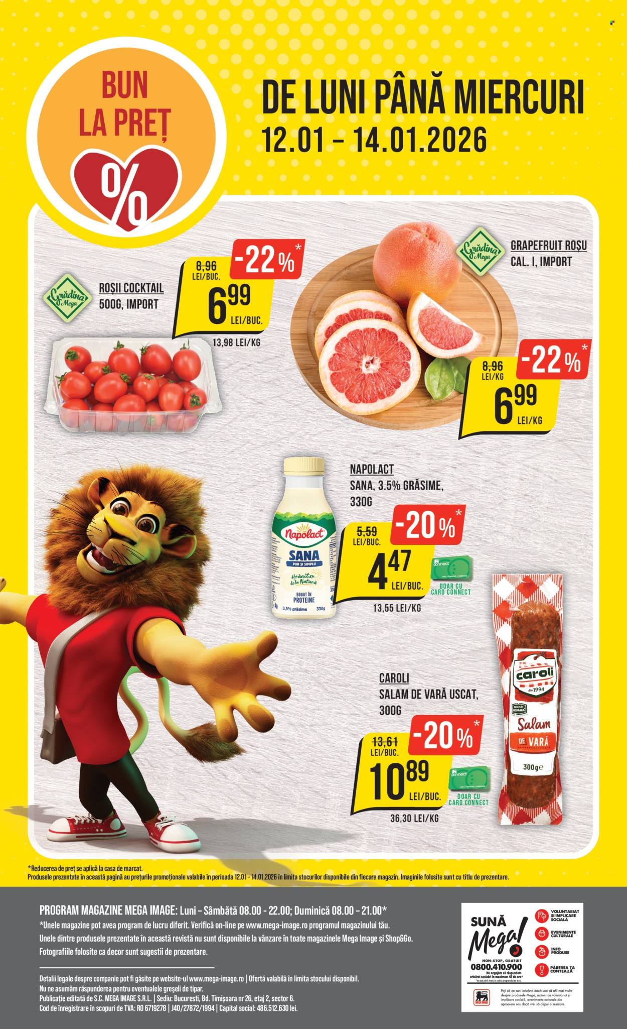 Catalog Mega Image - 05.01.2026 - 14.01.2026. Pagina 24