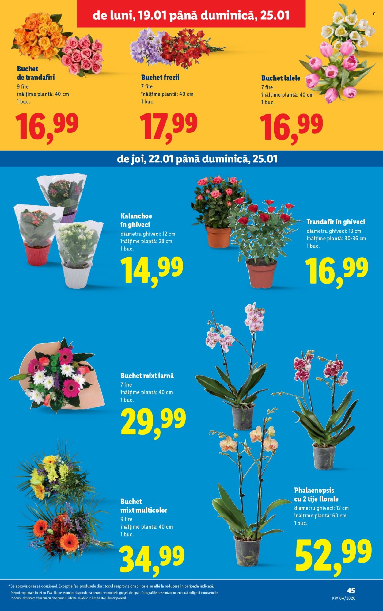 Catalog Lidl - 19.01.2026 - 25.01.2026. Pagina 45