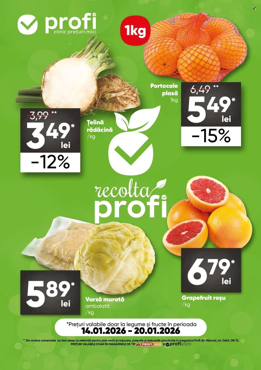 Catalog Profi Loco - 14.01.2026 - 20.01.2026. Pagina 1