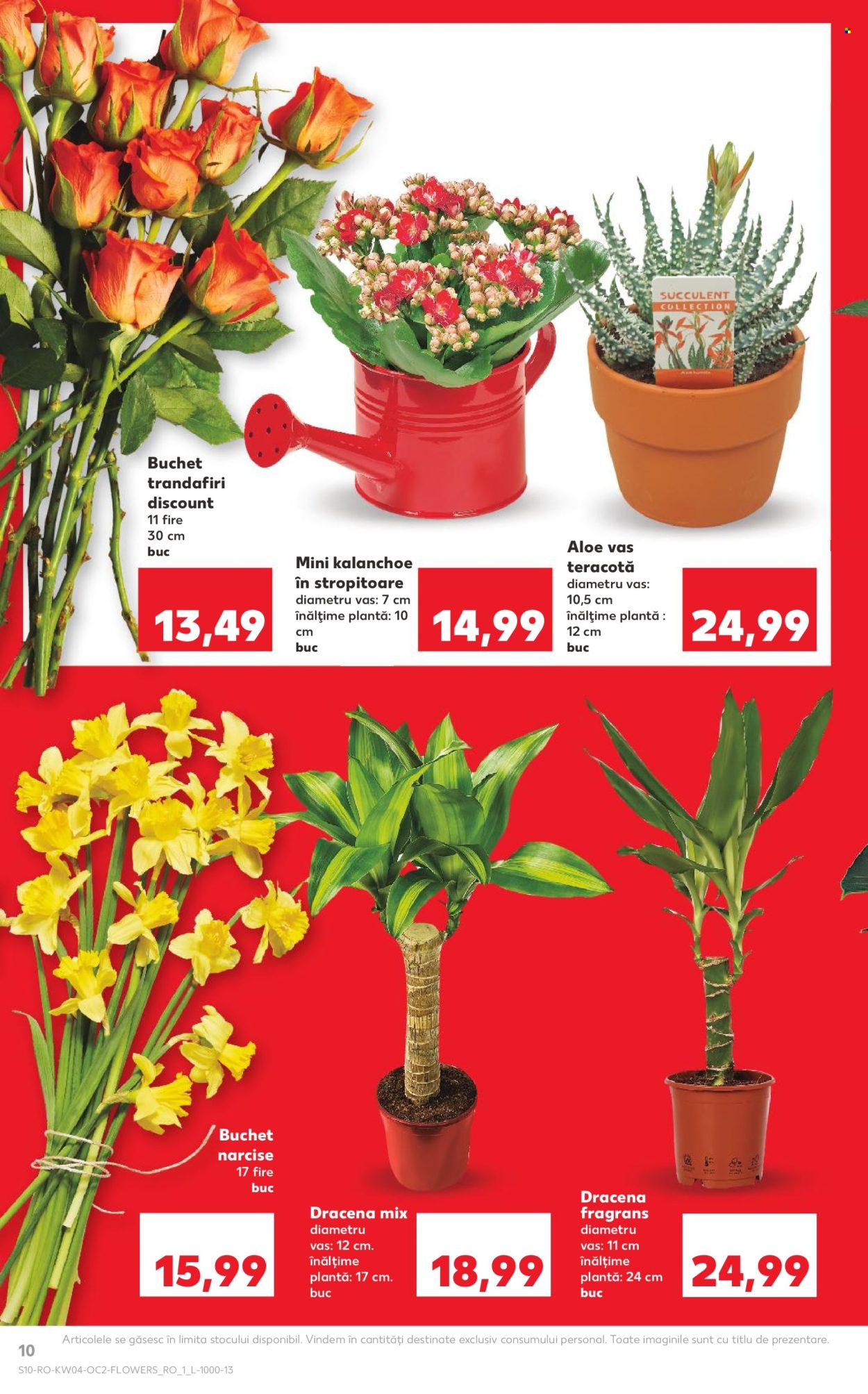 Catalog Kaufland - 21.01.2026 - 27.01.2026. Pagina 10