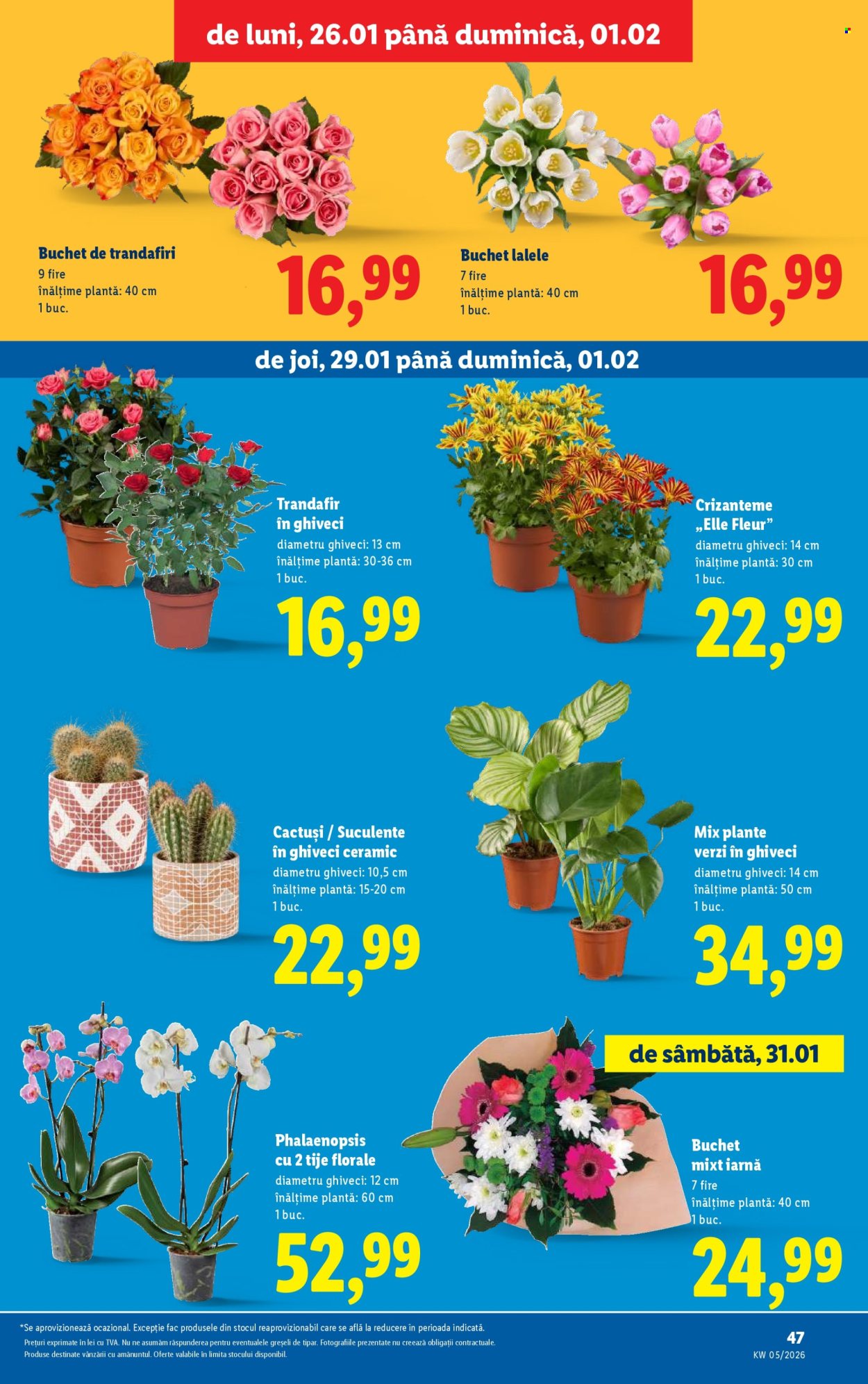 Catalog Lidl - 26.01.2026 - 01.02.2026. Pagina 47