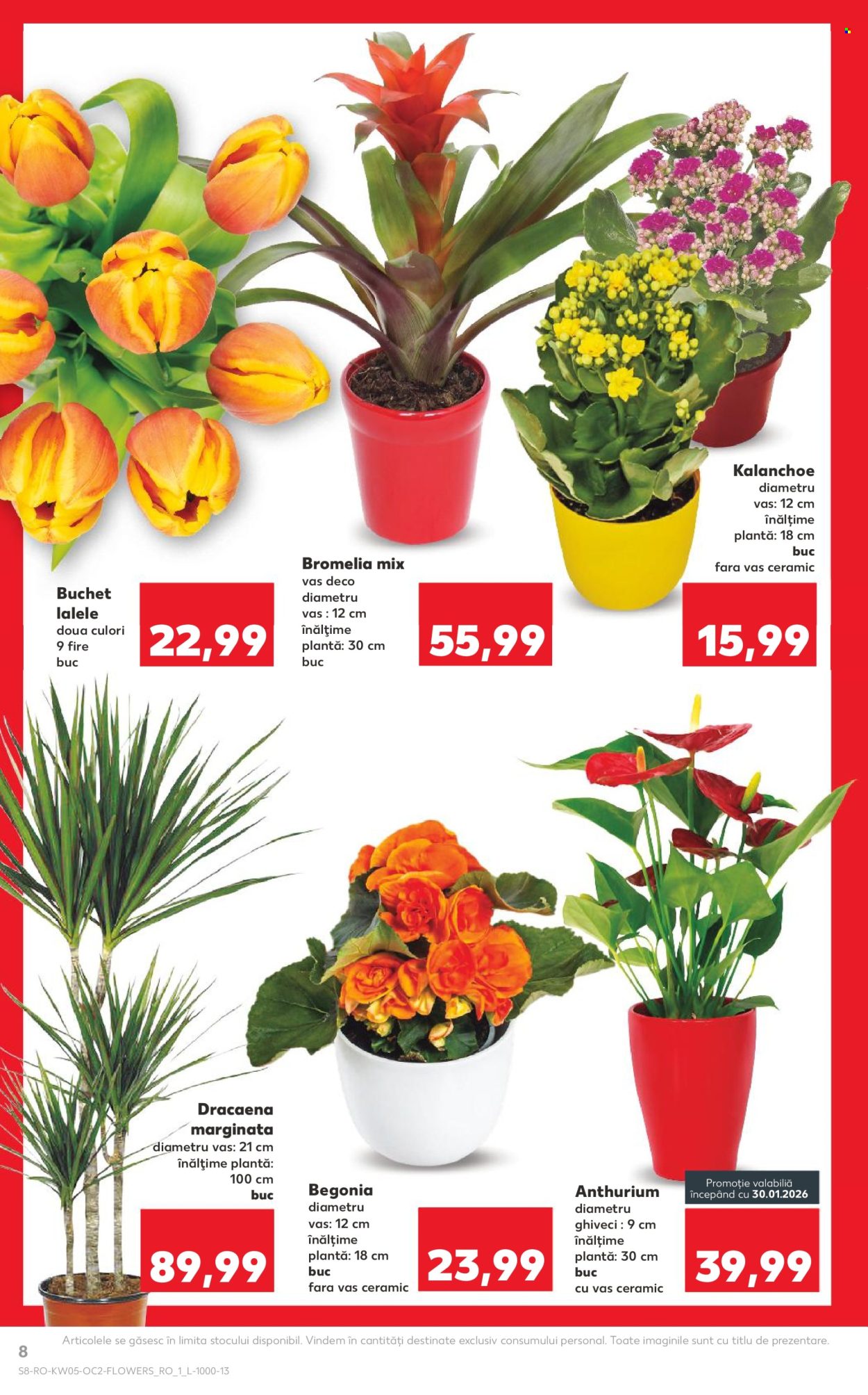 Catalog Kaufland - 28.01.2026 - 03.02.2026. Pagina 8