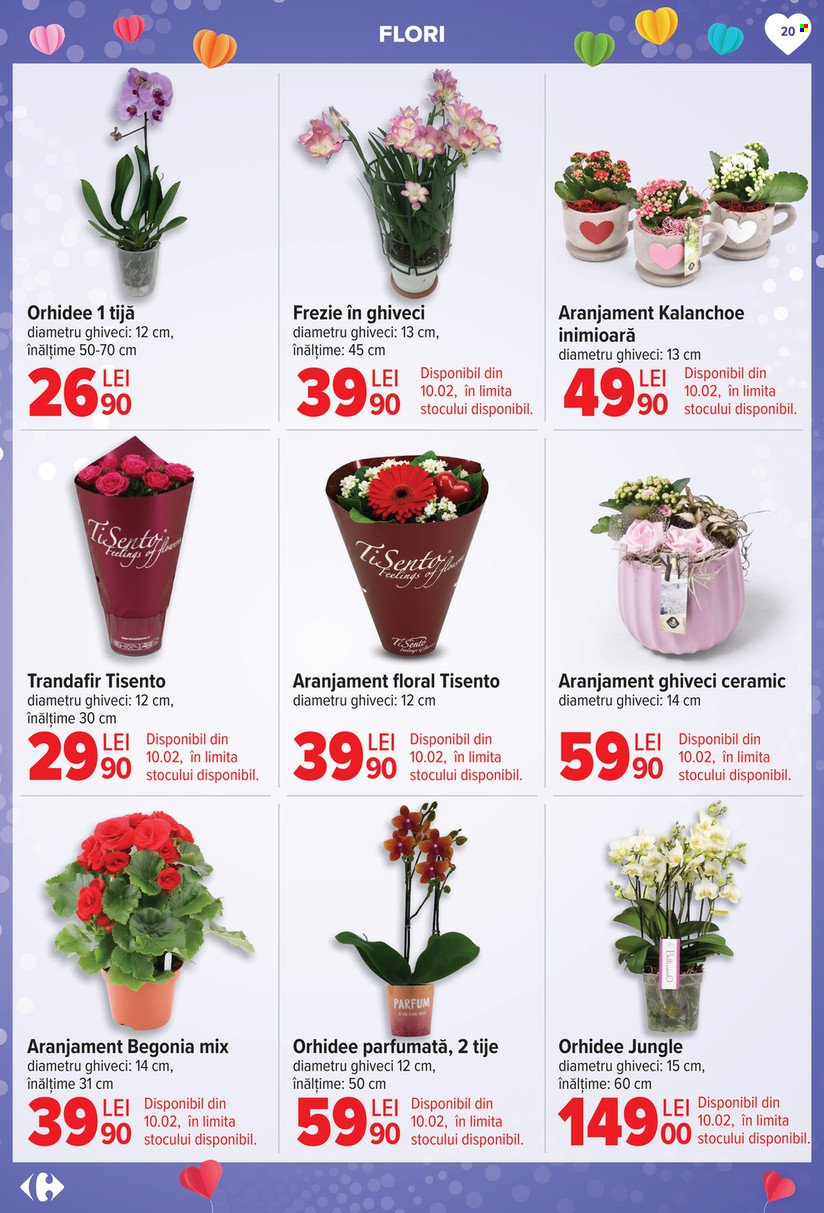Catalog Carrefour - 04.02.2026 - 17.02.2026. Pagina 19