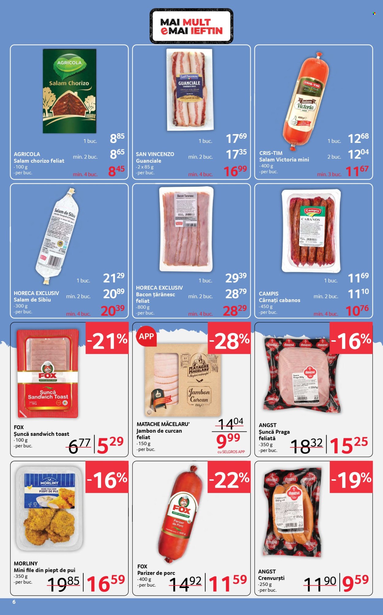 Catalog Selgros - 06.02.2026 - 19.02.2026. Pagina 6