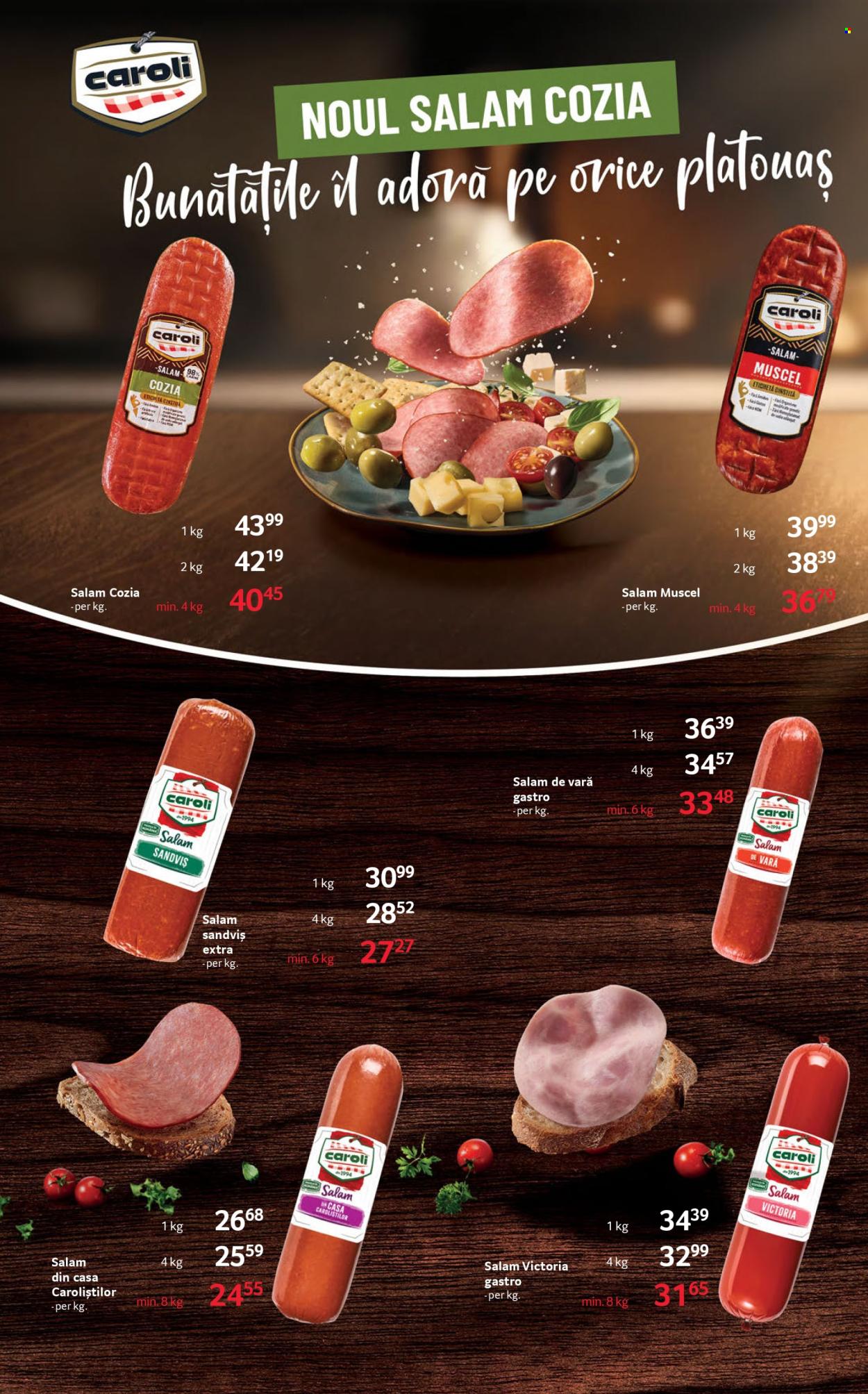Catalog Selgros - 06.02.2026 - 19.02.2026. Pagina 7