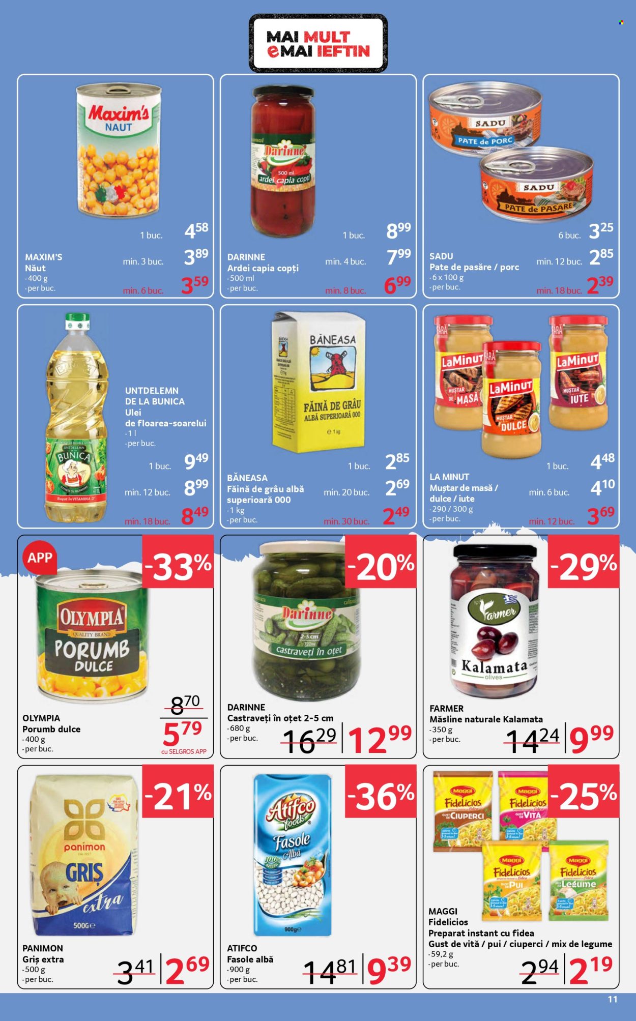 Catalog Selgros - 06.02.2026 - 19.02.2026. Pagina 11
