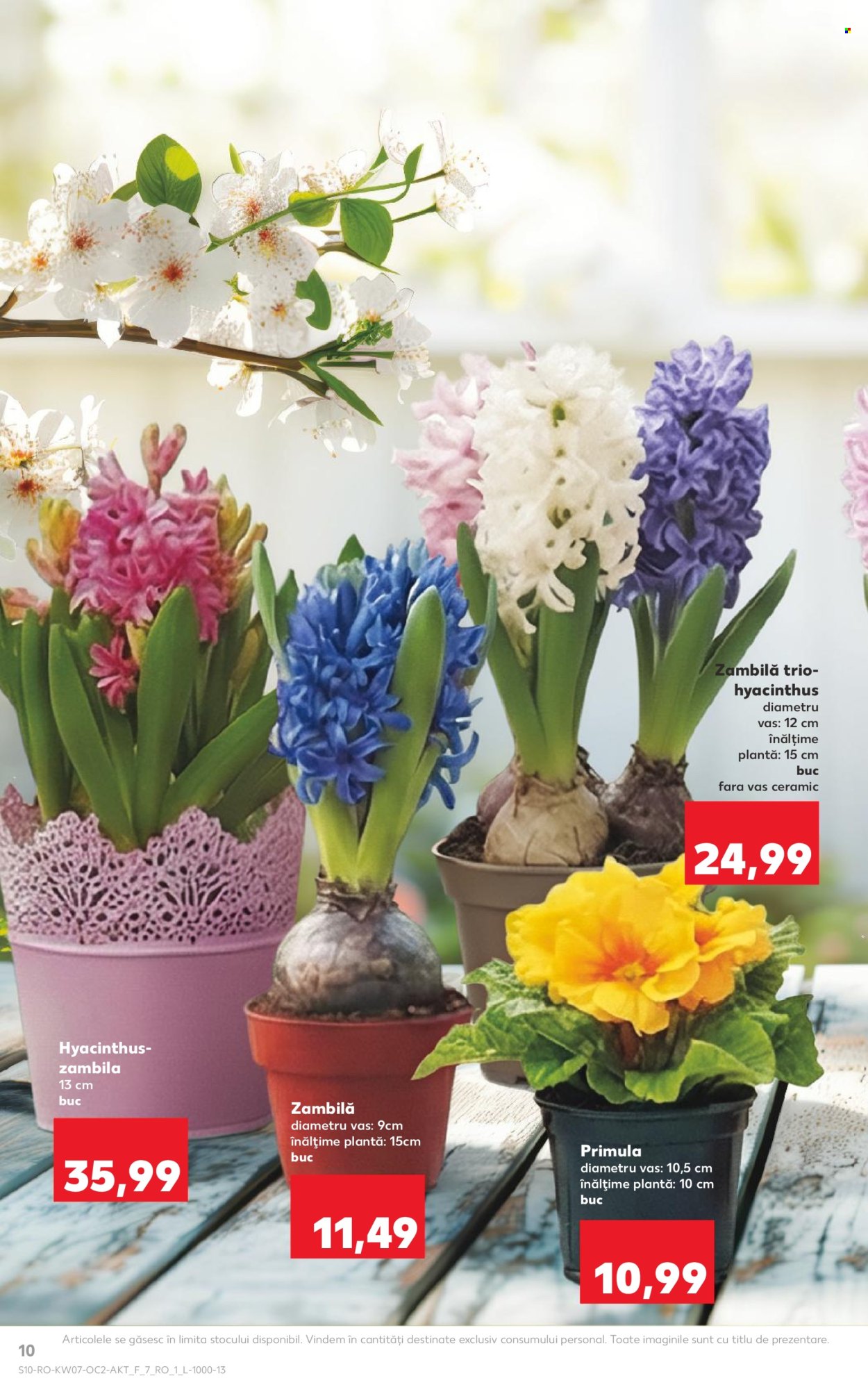 Catalog Kaufland - 11.02.2026 - 17.02.2026. Pagina 10