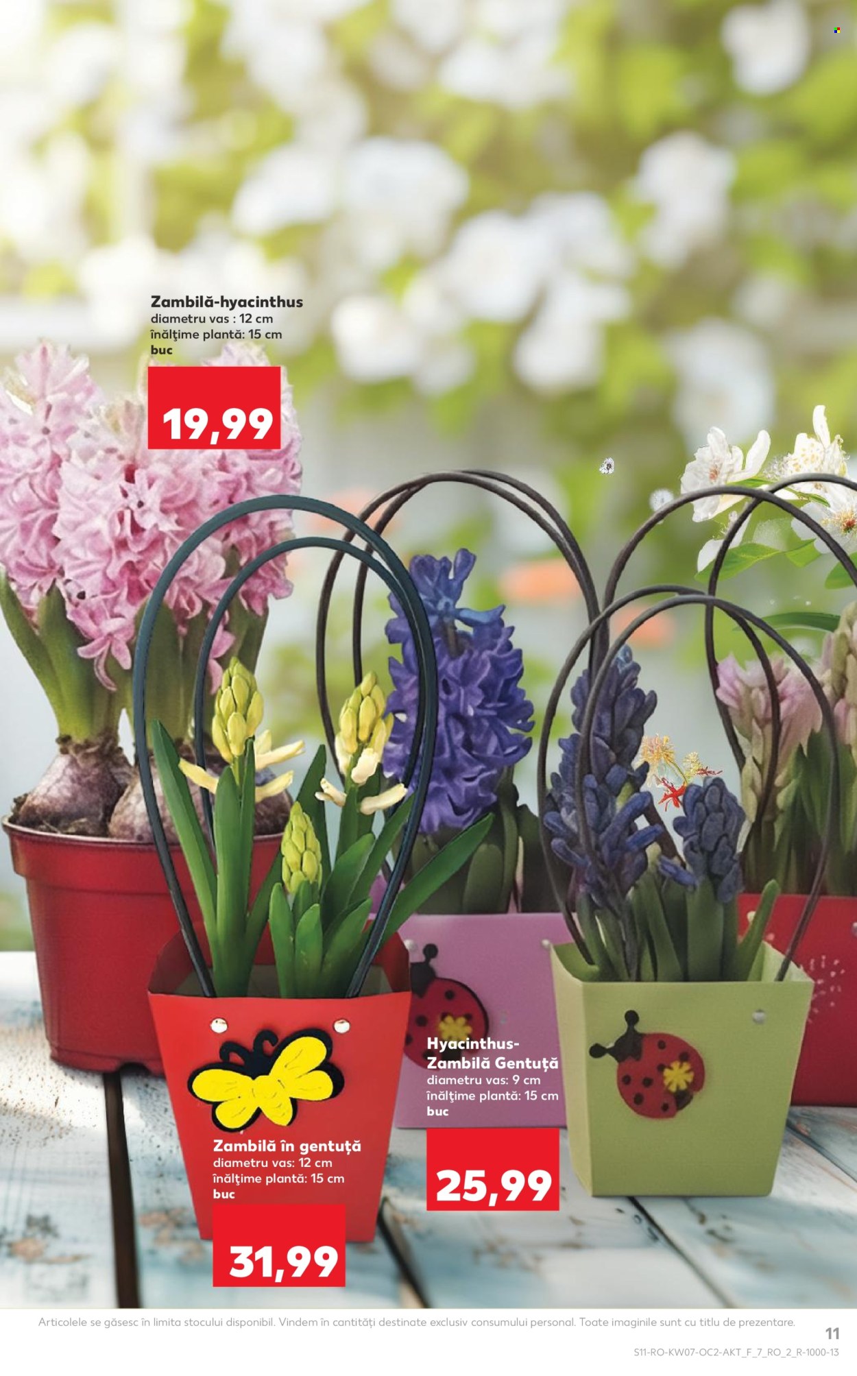 Catalog Kaufland - 11.02.2026 - 17.02.2026. Pagina 11