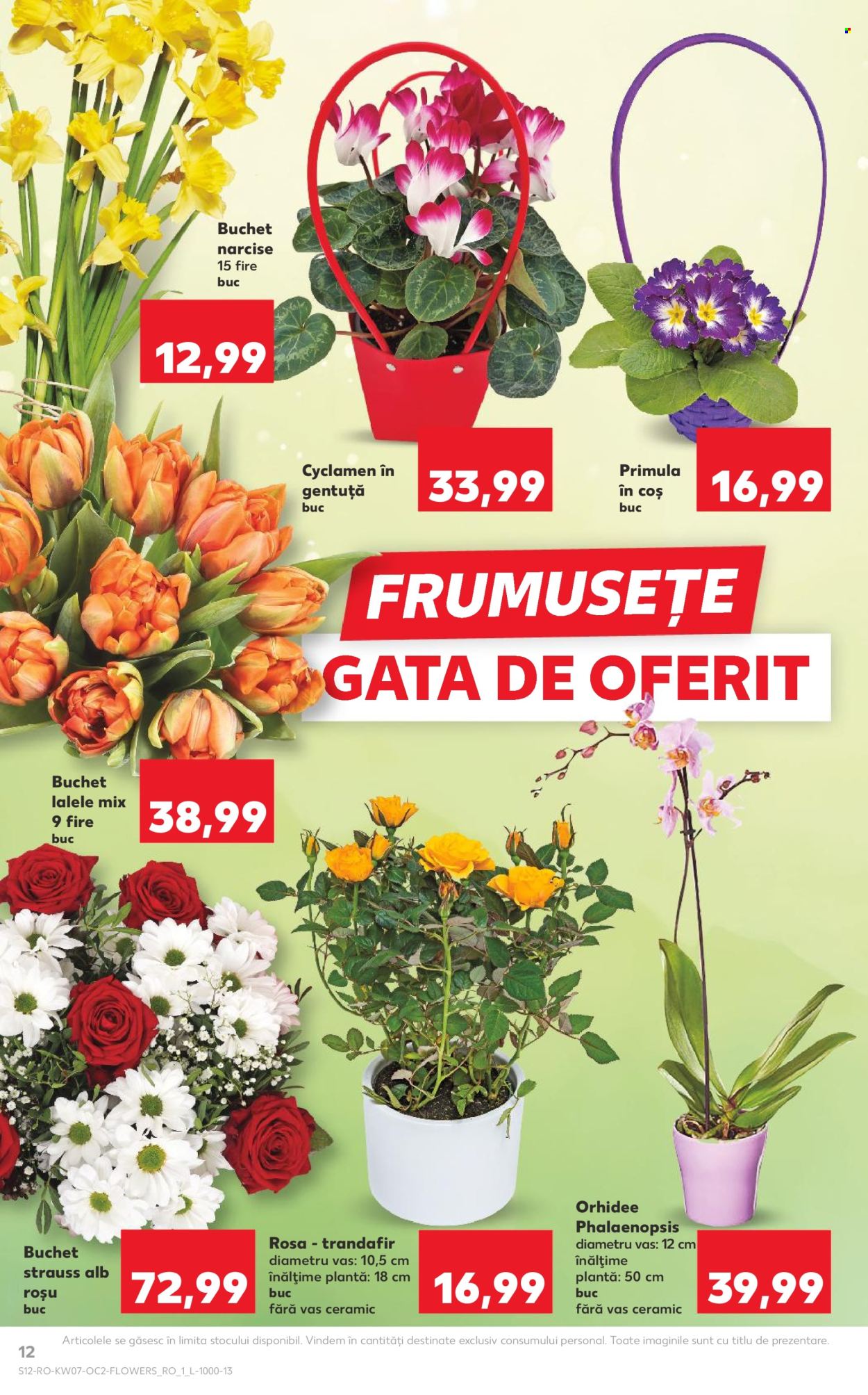 Catalog Kaufland - 11.02.2026 - 17.02.2026. Pagina 12