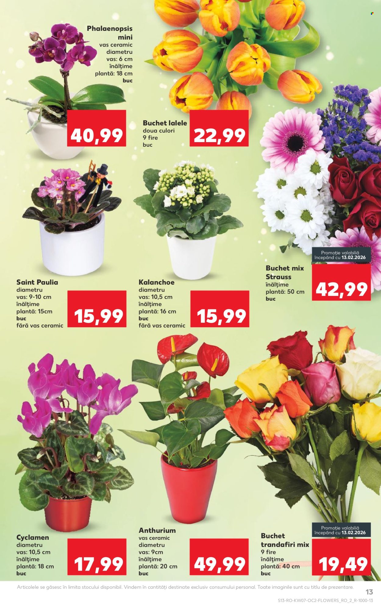 Catalog Kaufland - 11.02.2026 - 17.02.2026. Pagina 13