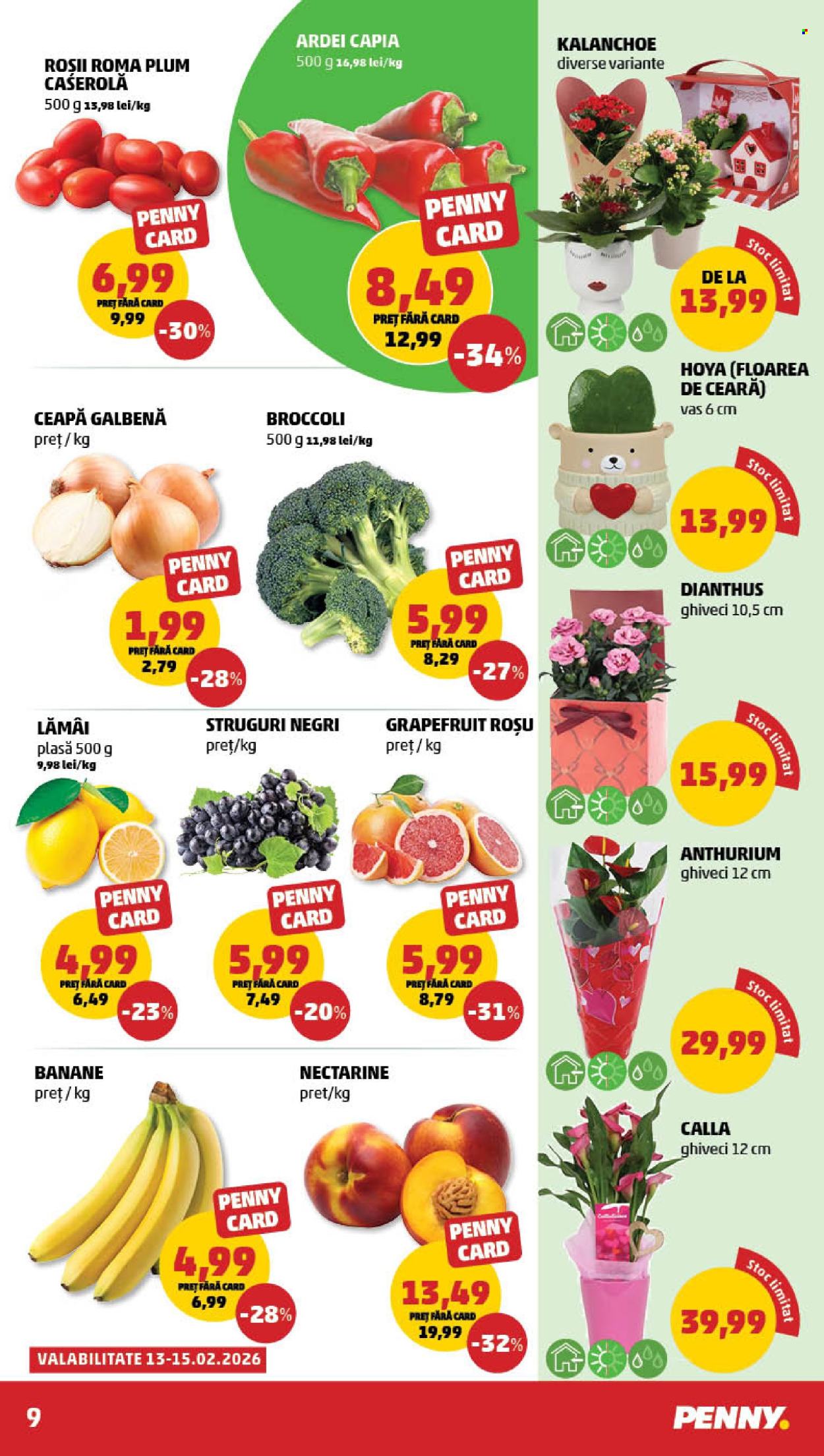 Catalog PENNY - 11.02.2026 - 17.02.2026. Pagina 9