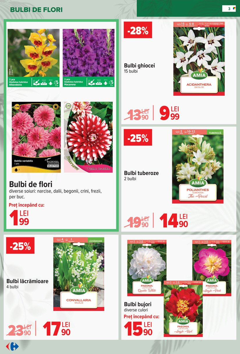 Catalog Carrefour - 11.02.2026 - 14.04.2026. Pagina 3