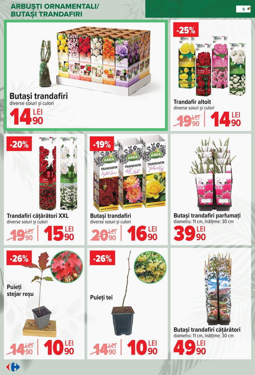 Catalog Carrefour - 11.02.2026 - 14.04.2026. Pagina 5