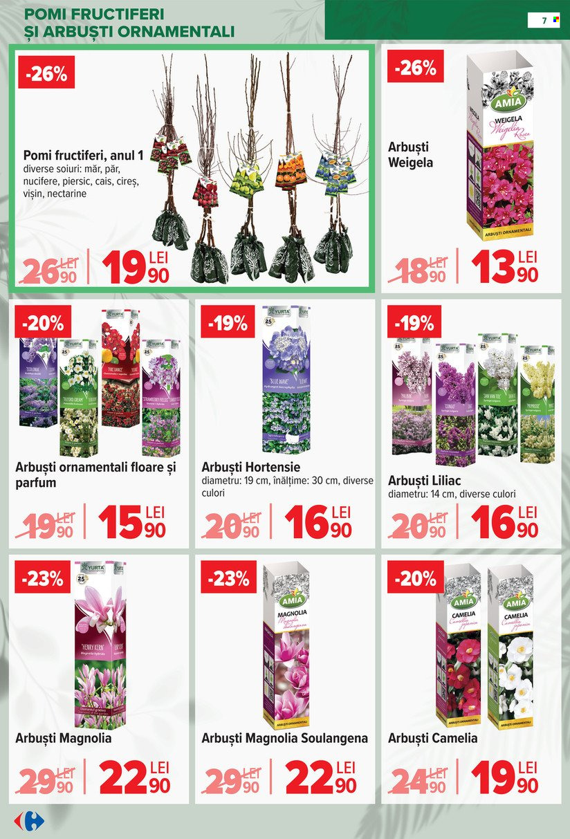 Catalog Carrefour - 11.02.2026 - 14.04.2026. Pagina 7