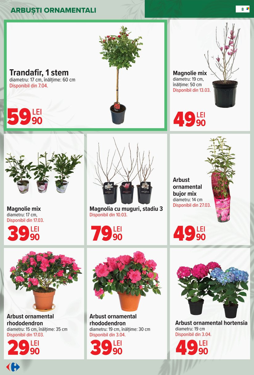 Catalog Carrefour - 11.02.2026 - 14.04.2026. Pagina 8