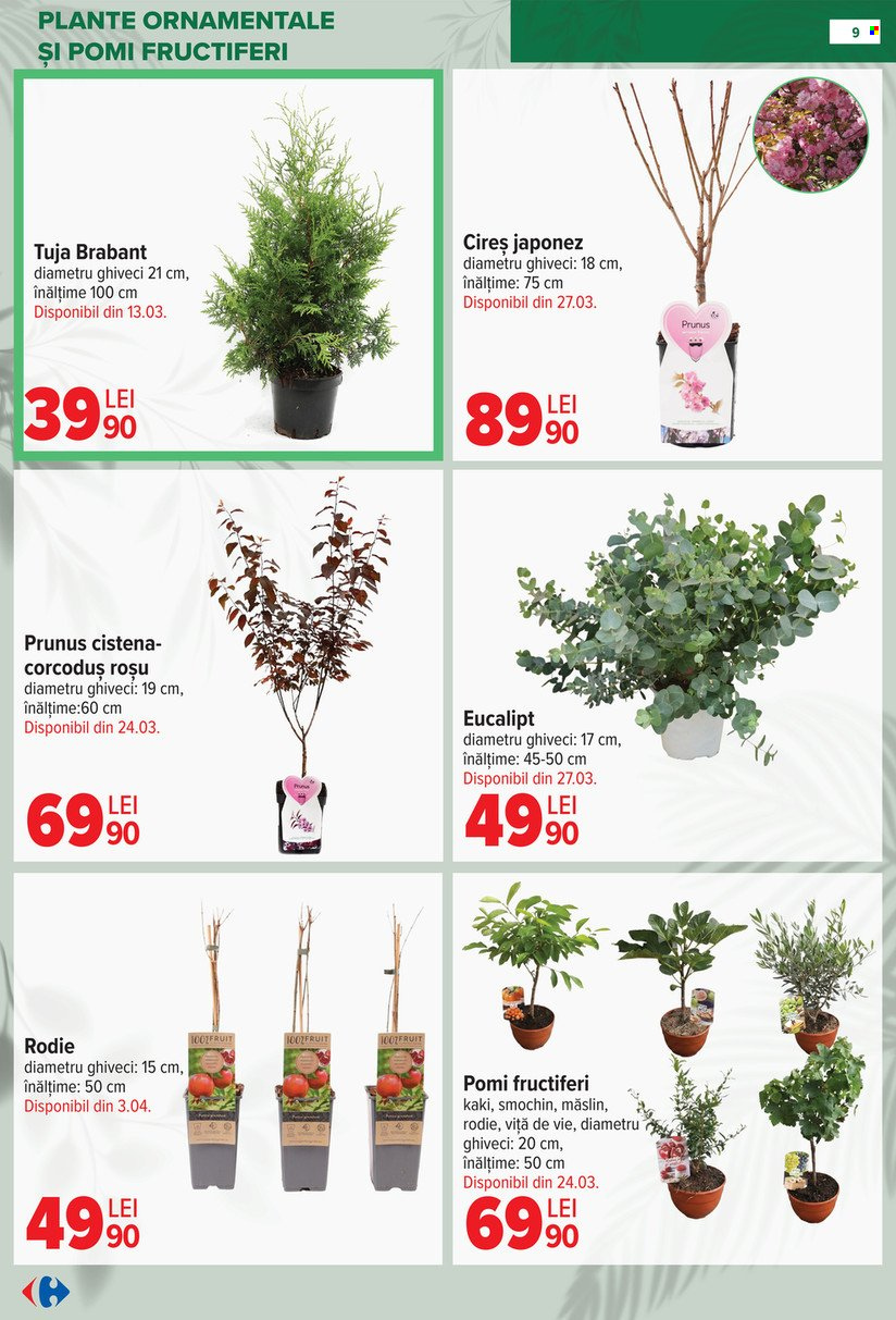 Catalog Carrefour - 11.02.2026 - 14.04.2026. Pagina 9