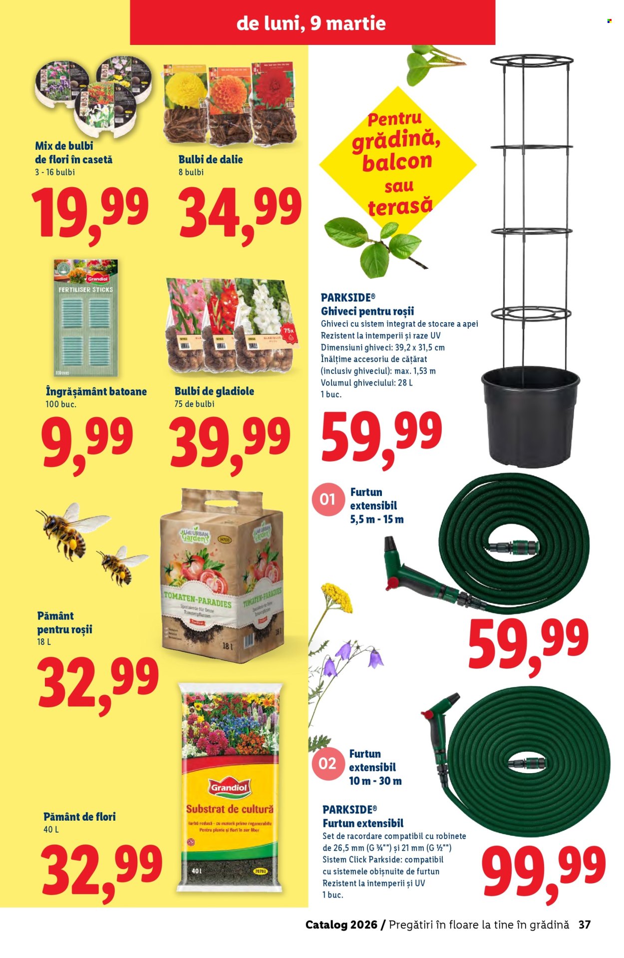 Catalog Lidl. Pagina 37