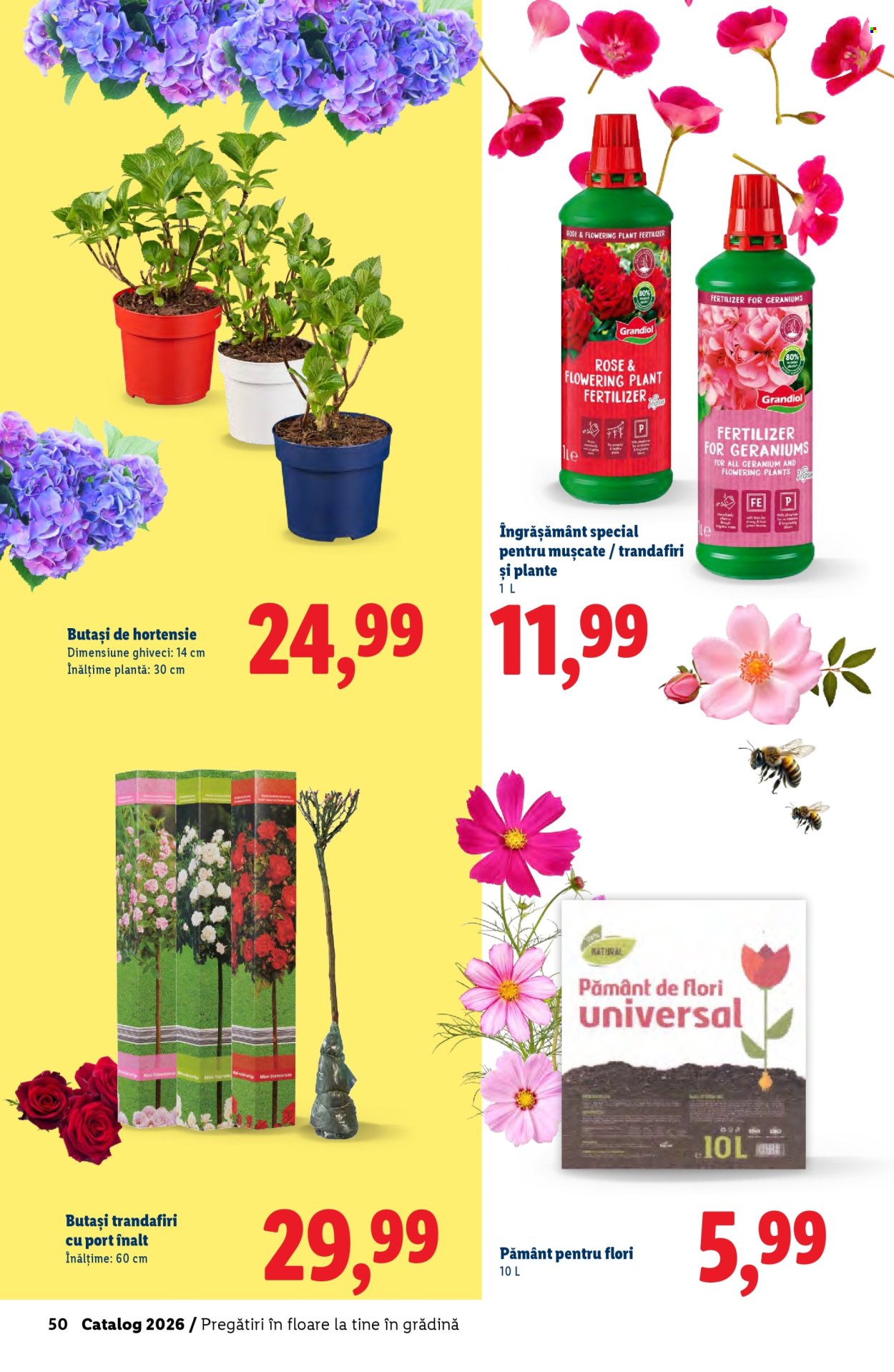 Catalog Lidl. Pagina 50