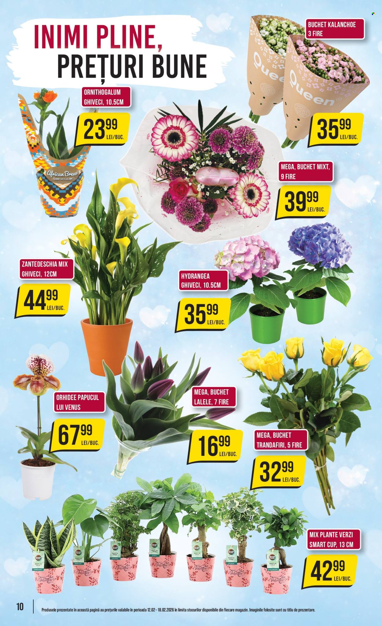 Catalog Mega Image - 12.02.2026 - 18.02.2026. Pagina 10