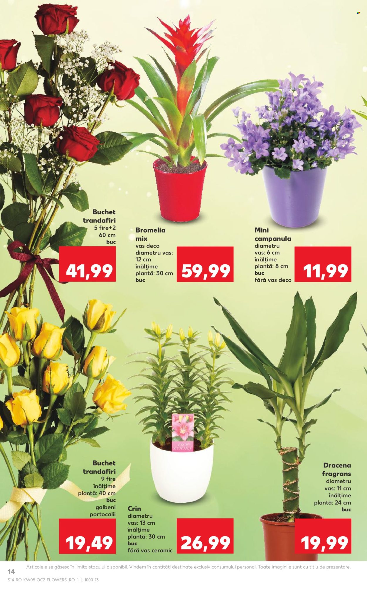 Catalog Kaufland - 18.02.2026 - 24.02.2026. Pagina 14