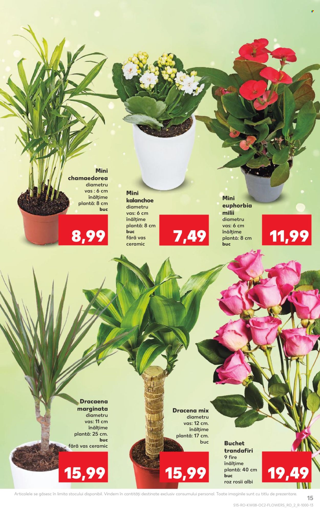 Catalog Kaufland - 18.02.2026 - 24.02.2026. Pagina 15