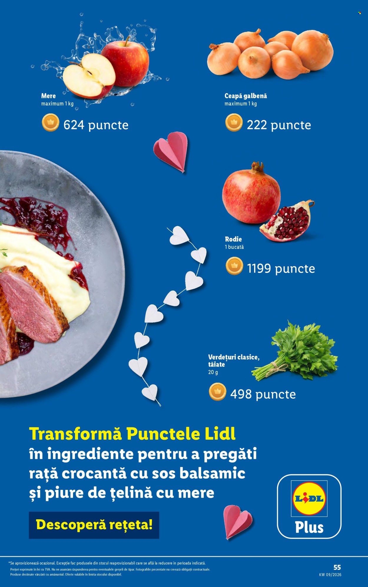 Catalog Lidl - 23.02.2026 - 01.03.2026. Pagina 55
