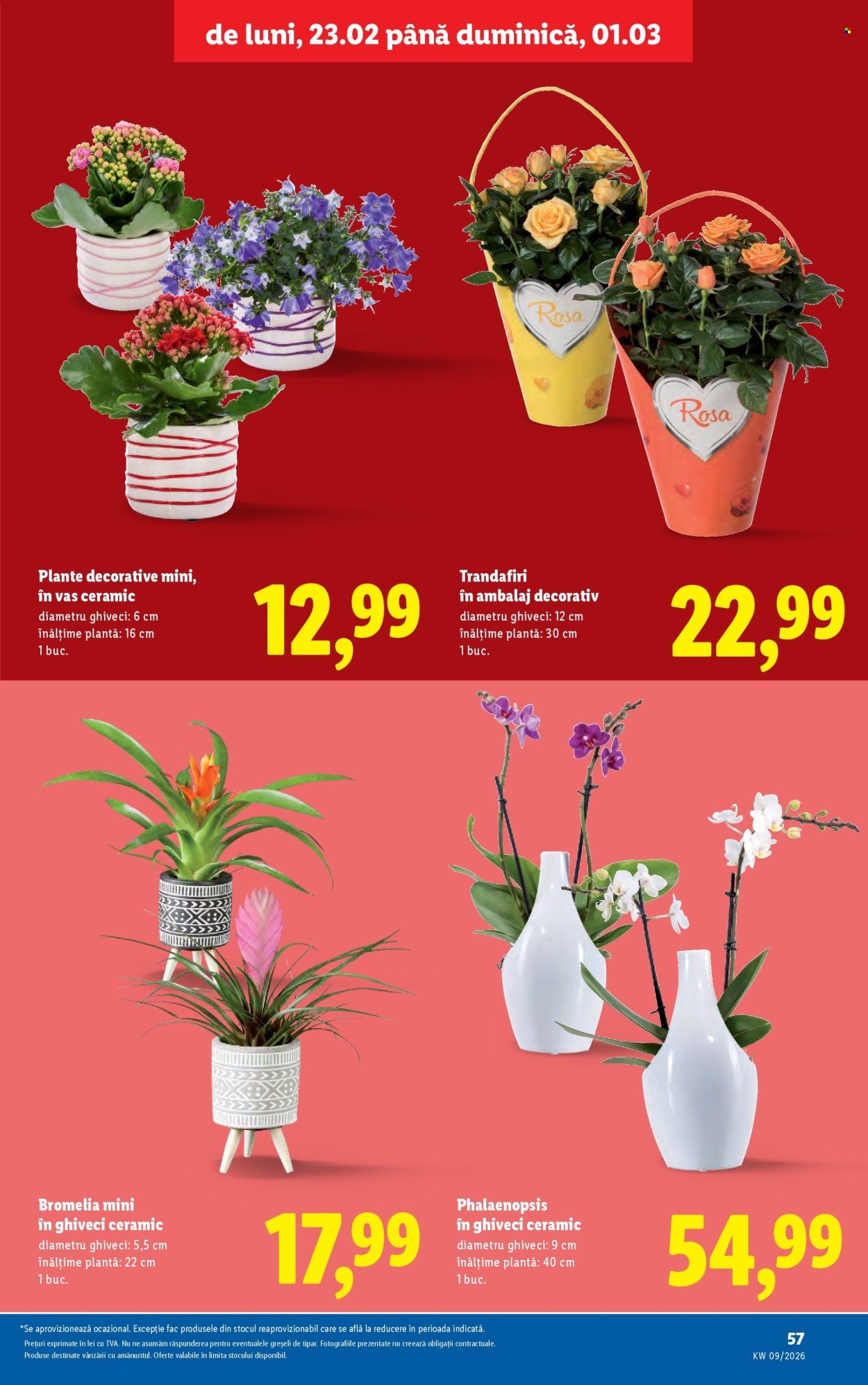 Catalog Lidl - 23.02.2026 - 01.03.2026. Pagina 57