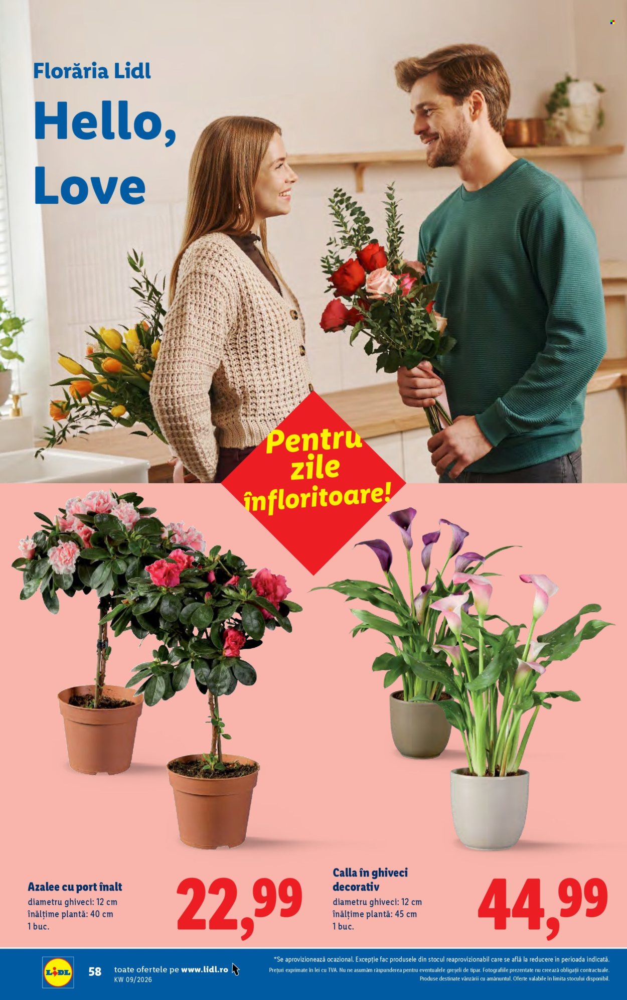 Catalog Lidl - 23.02.2026 - 01.03.2026. Pagina 58