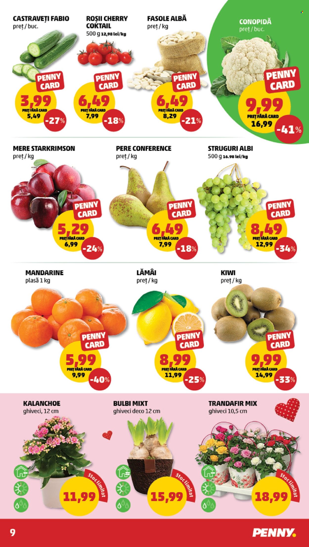 Catalog PENNY - 18.02.2026 - 24.02.2026. Pagina 9