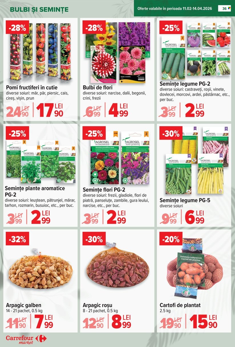 Catalog Carrefour - 18.02.2026 - 24.02.2026. Pagina 37