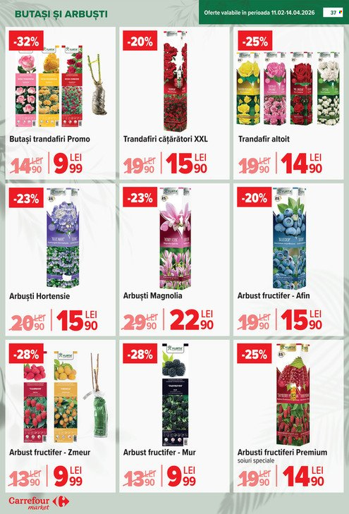 Catalog Carrefour - 18.02.2026 - 24.02.2026. Pagina 38