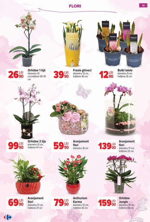 Catalog Carrefour - 18.02.2026 - 08.03.2026. Pagina 28